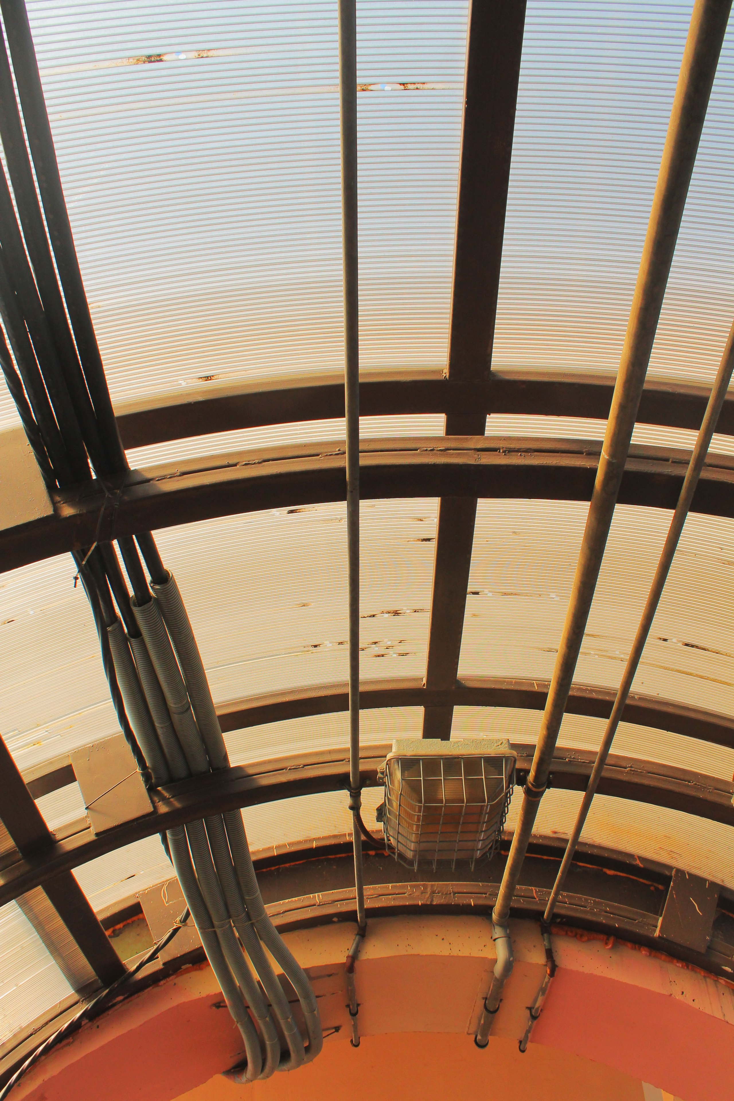 Витилиго. Фотограф из Москвы — DASHA NOVA | Авторская фотография в разных жанрах