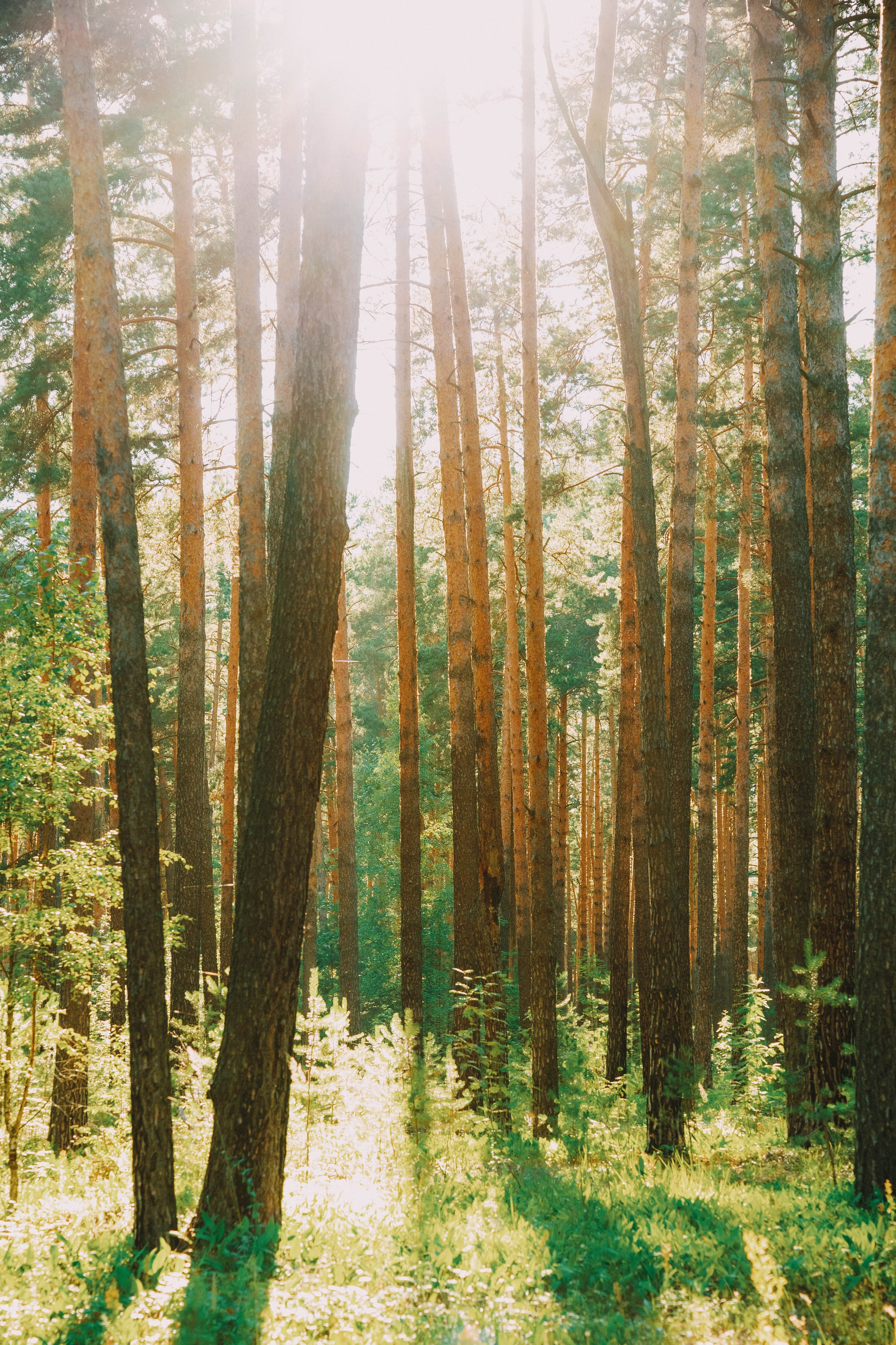 Нижний Новгород. Фотограф из Москвы — DASHA NOVA | Авторская фотография в разных жанрах