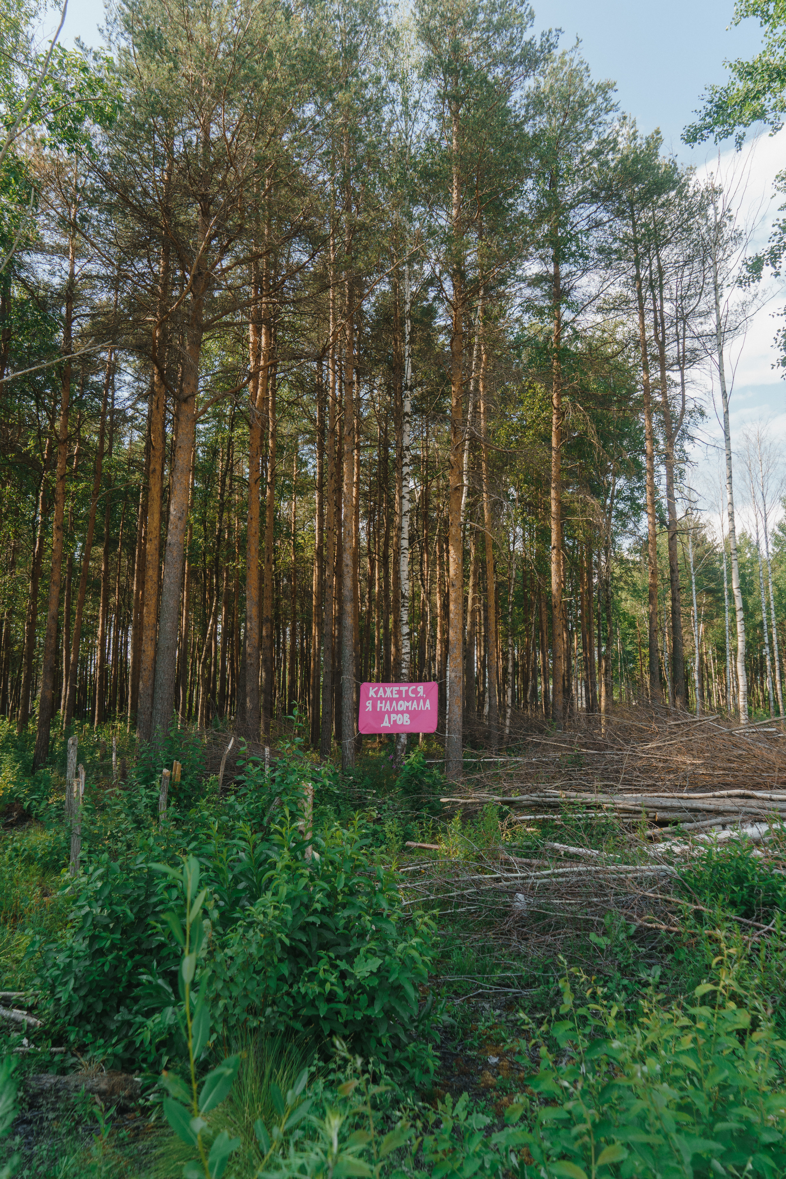 Кажется, я наломала дров. Козлова Екатерина. Междисциплинарная визуальная художница
