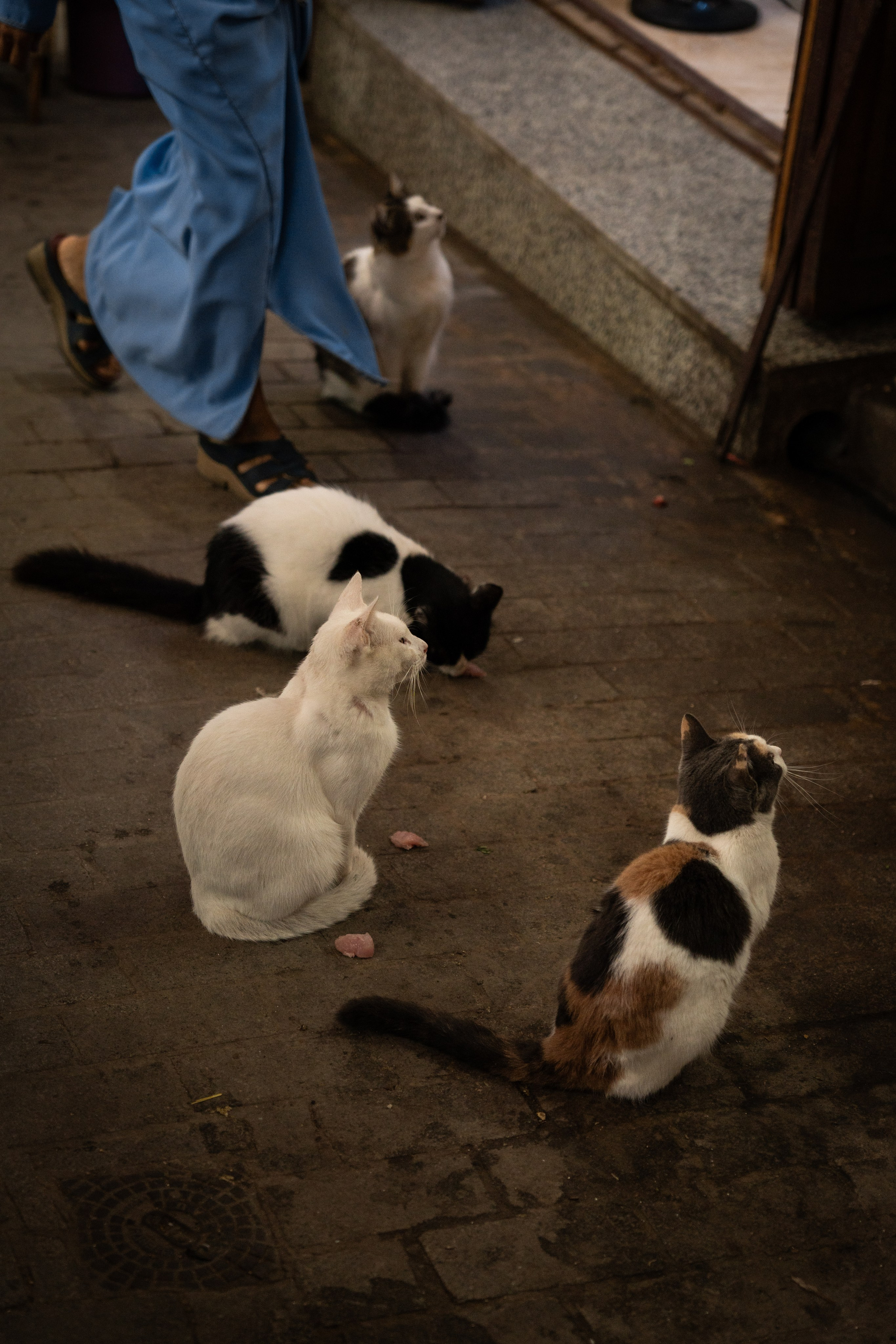 Марокко. Илья Варин — Фотограф Москва, Тверь