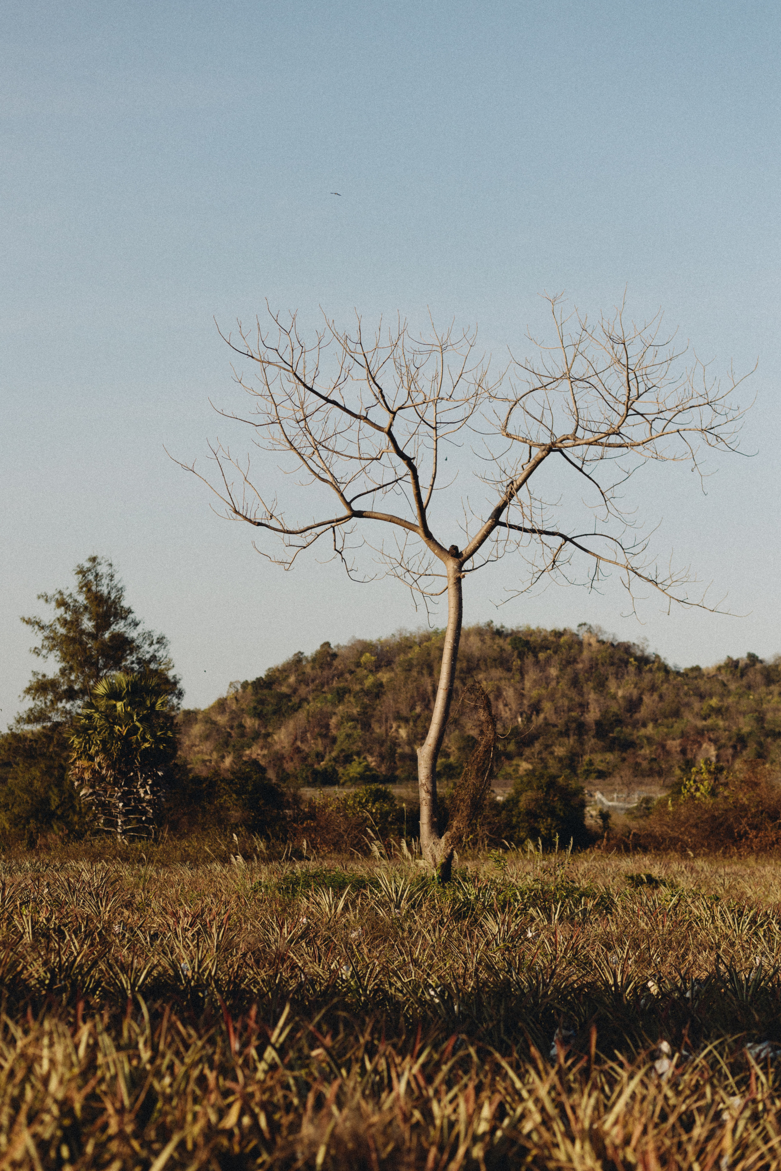 Южное солнце. Фотограф Макс Ветошкин 📷