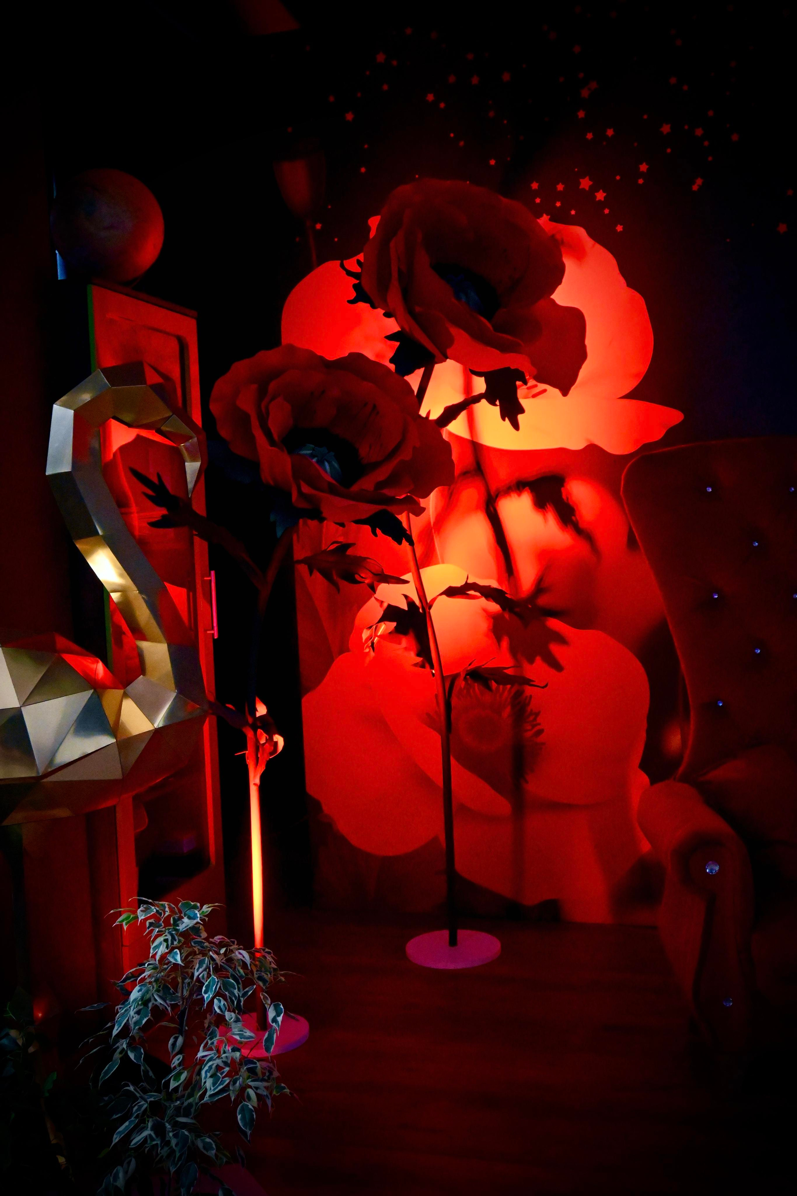 Территория M.I.C.E. Территория EVENT. Организация мероприятий