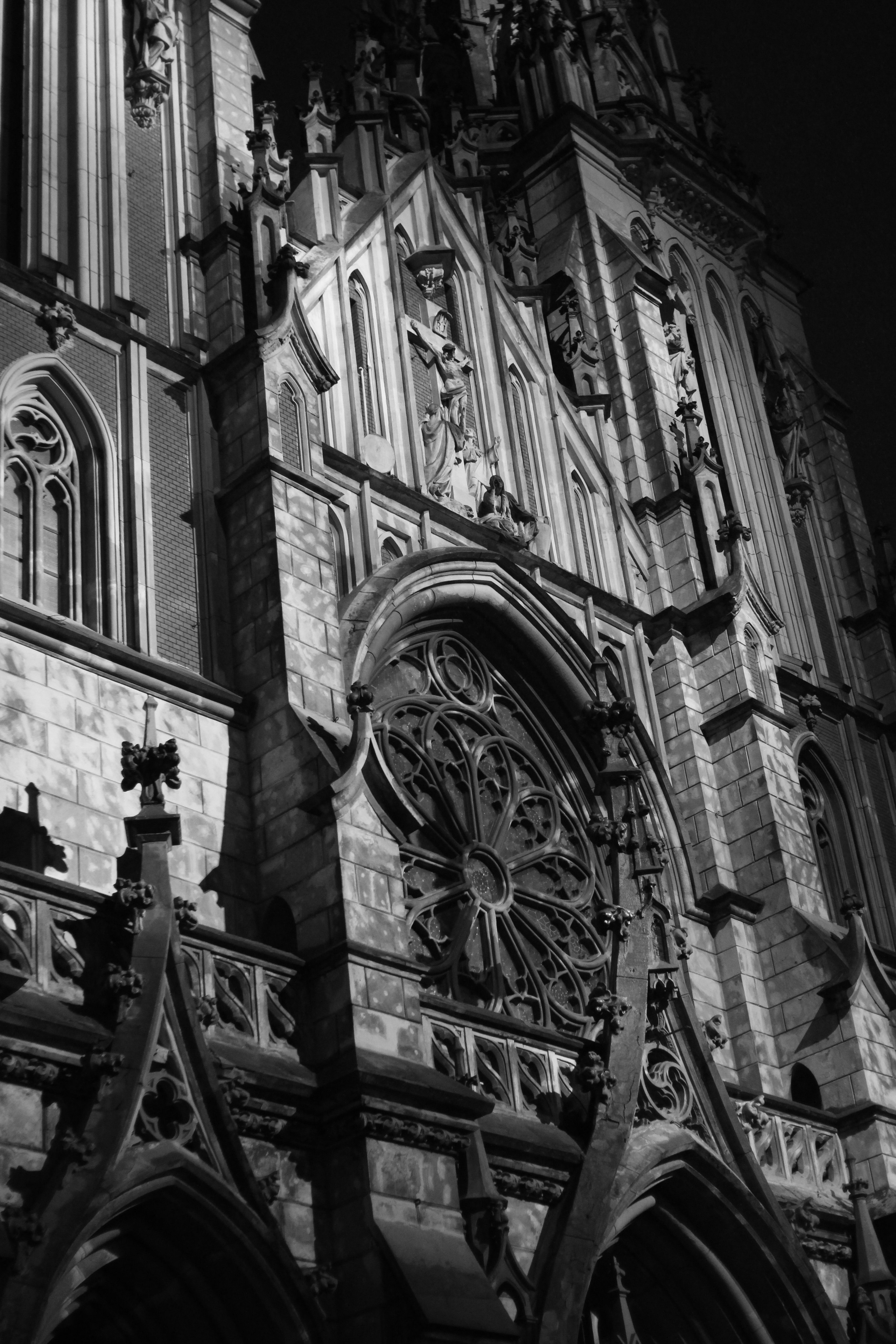 Творческий фотограф в Санкт-Петербурге | Саша Трапезникова