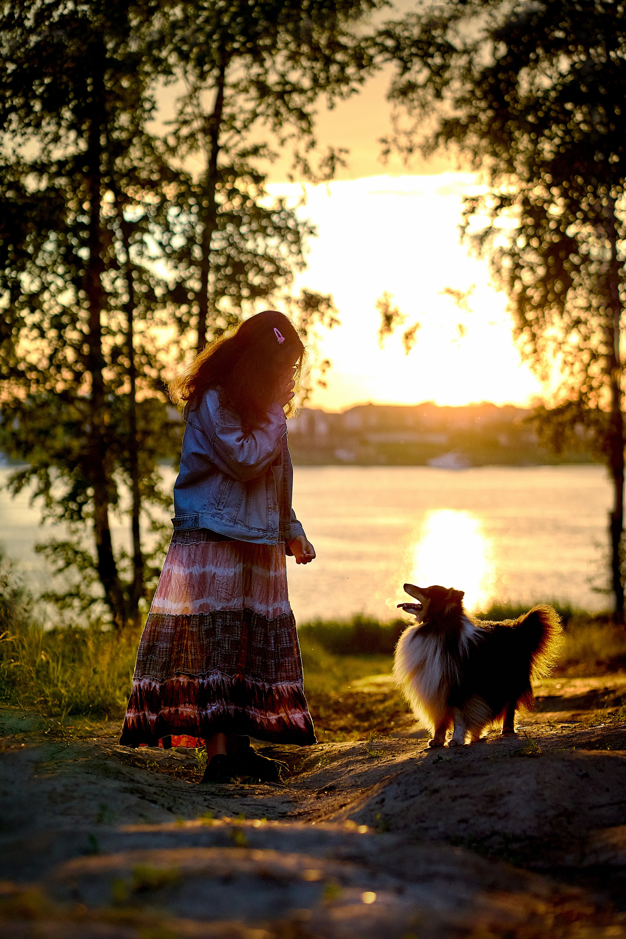 Условия и прайс. Фотограф-анималист в Иркутске