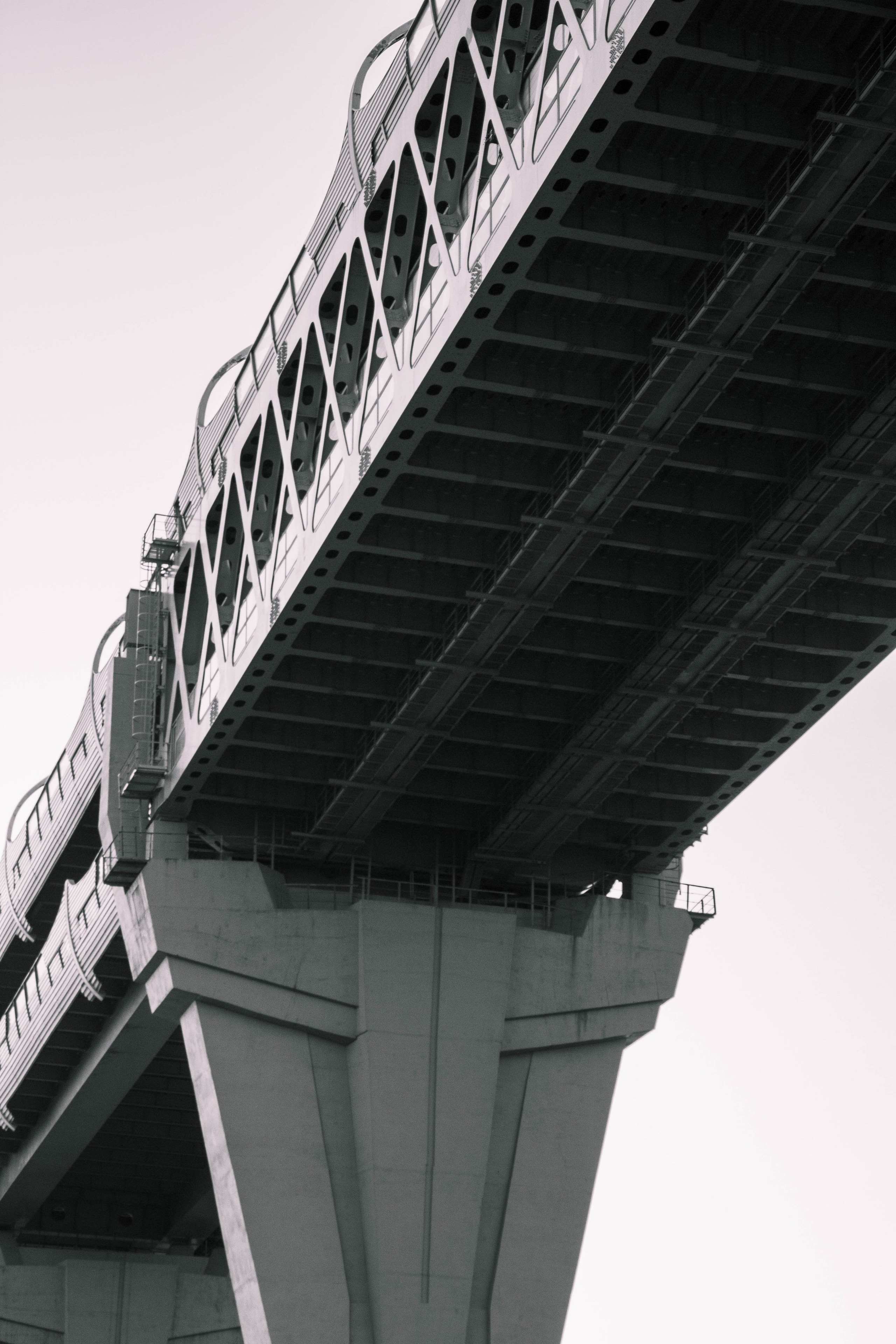 Контакты. Карпогоры, Санкт-Петербург