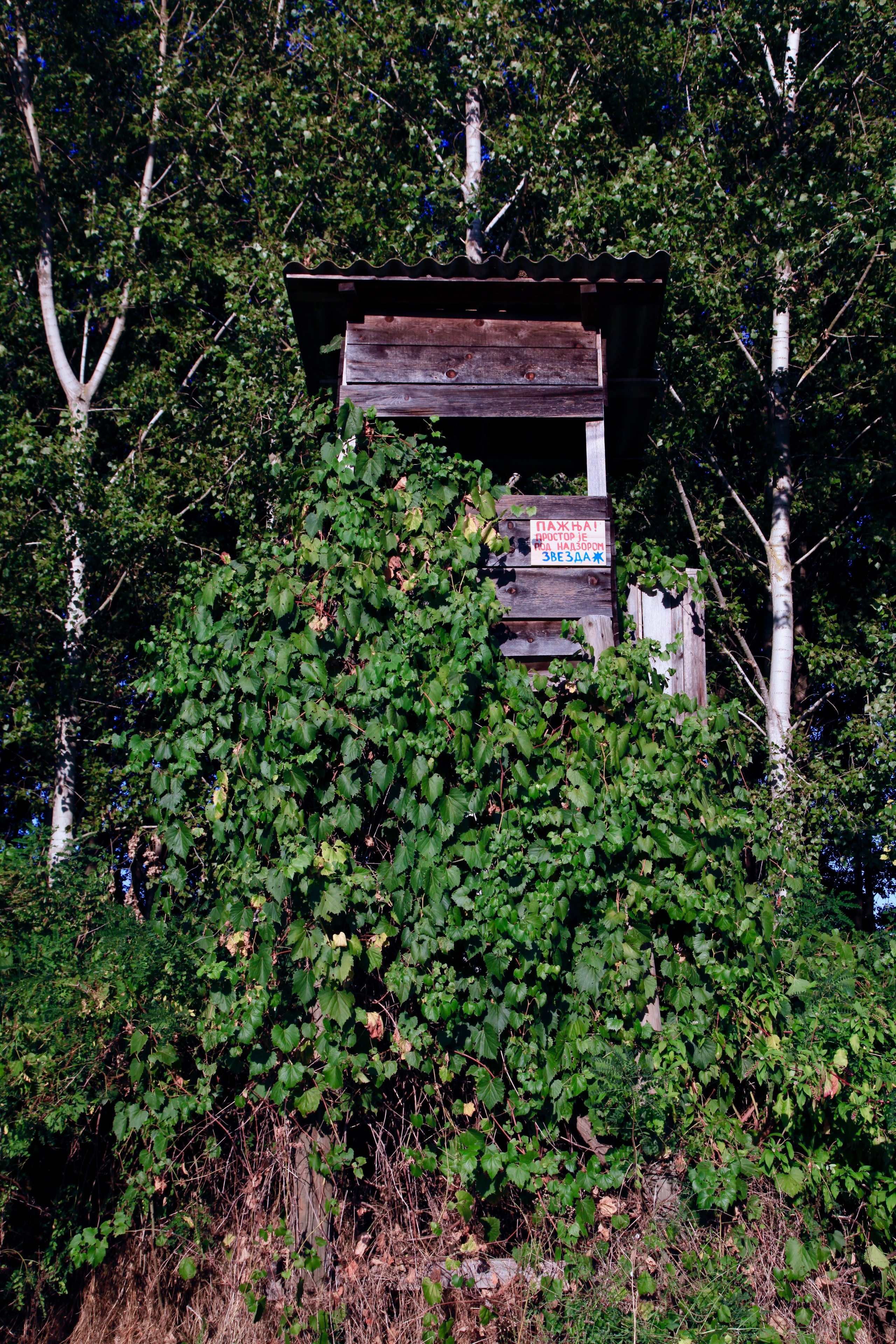 Наталия Бабинцева — ВЫДЕЛЕННАЯ ТЕРРИТОРИЯ: прогулки с N