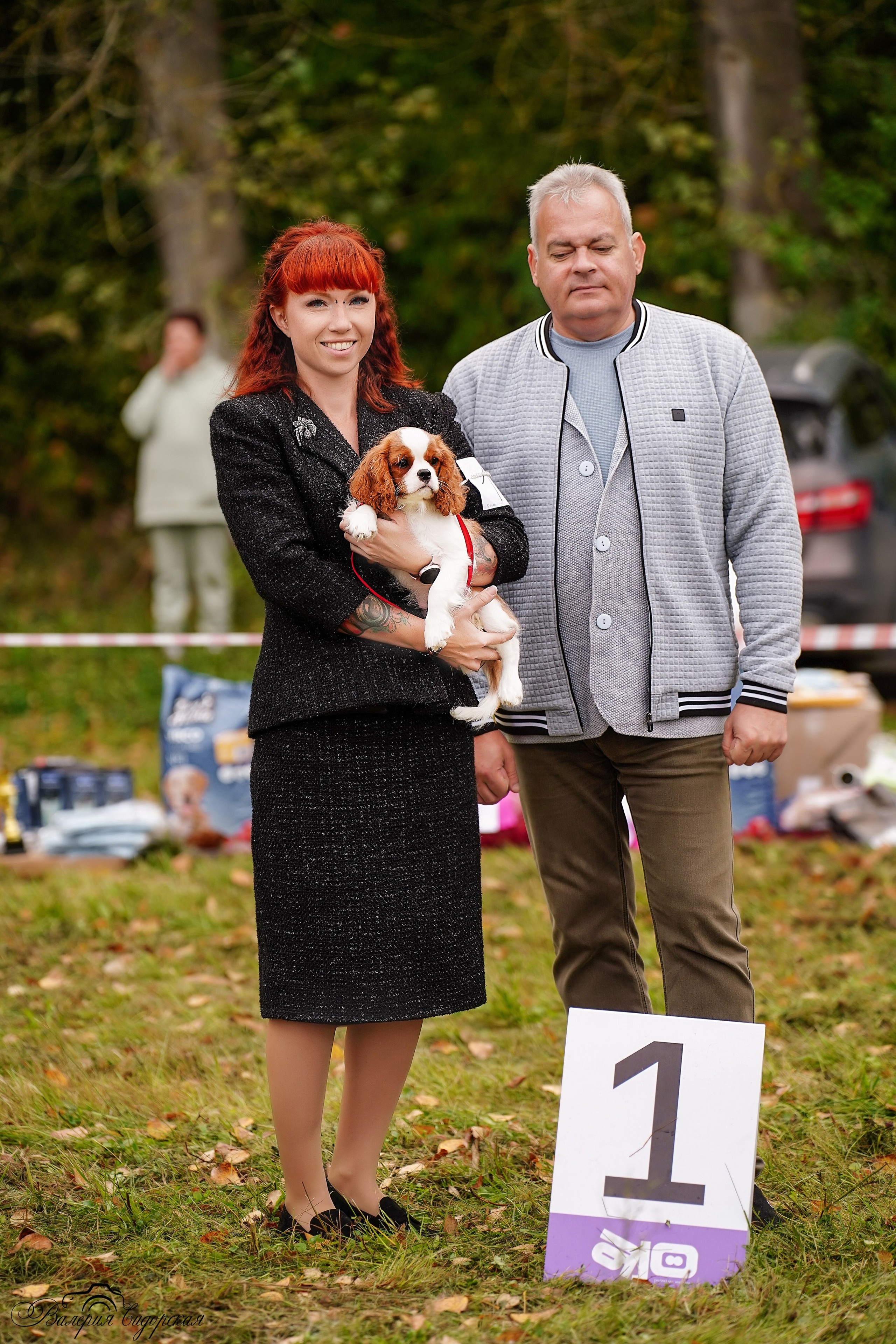 Выставки. Питомник кавалер кинг чарльз спаниелей
