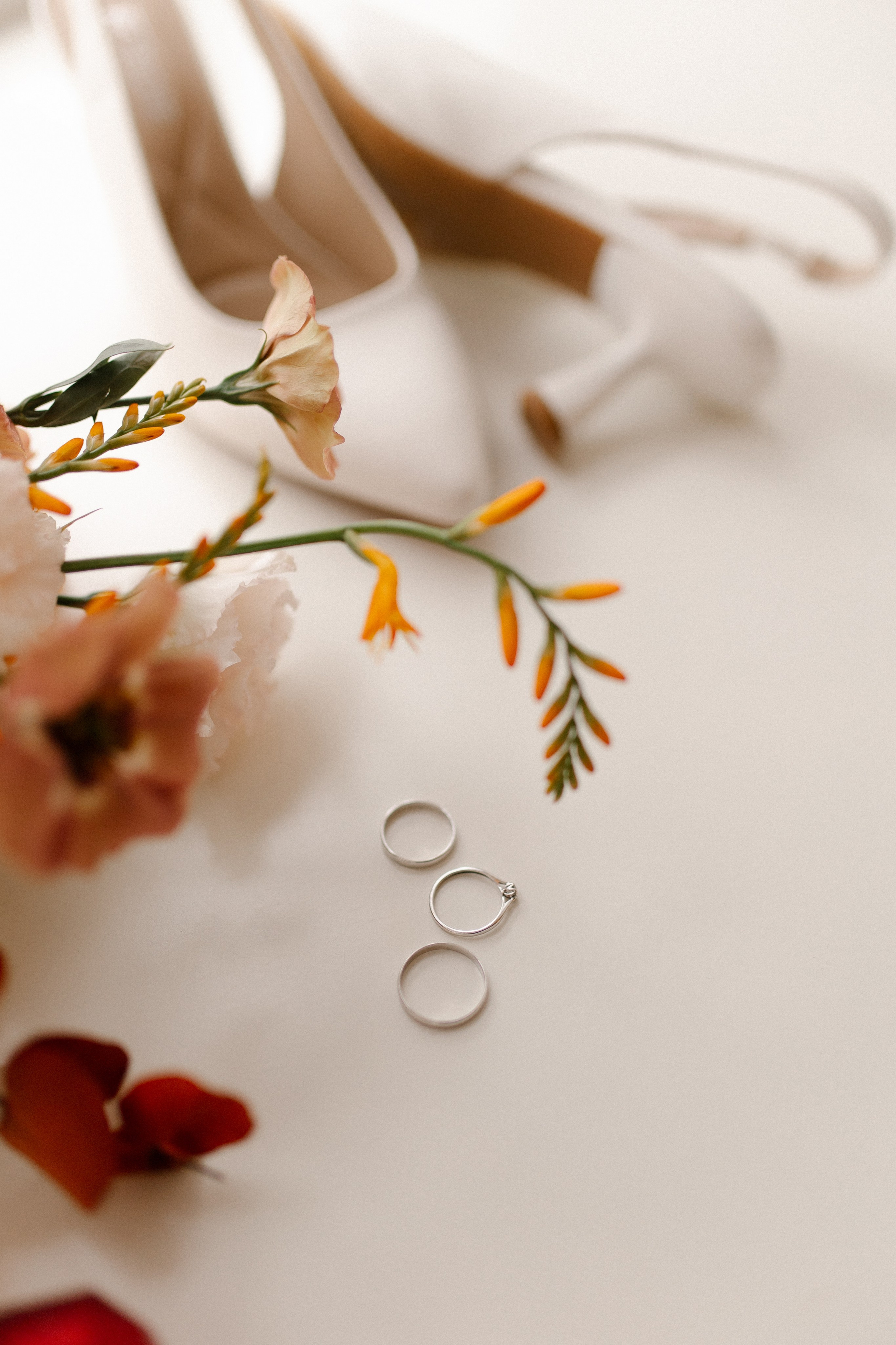 Стоимость. Фотограф Тверь Москва Елизавета Рапутина