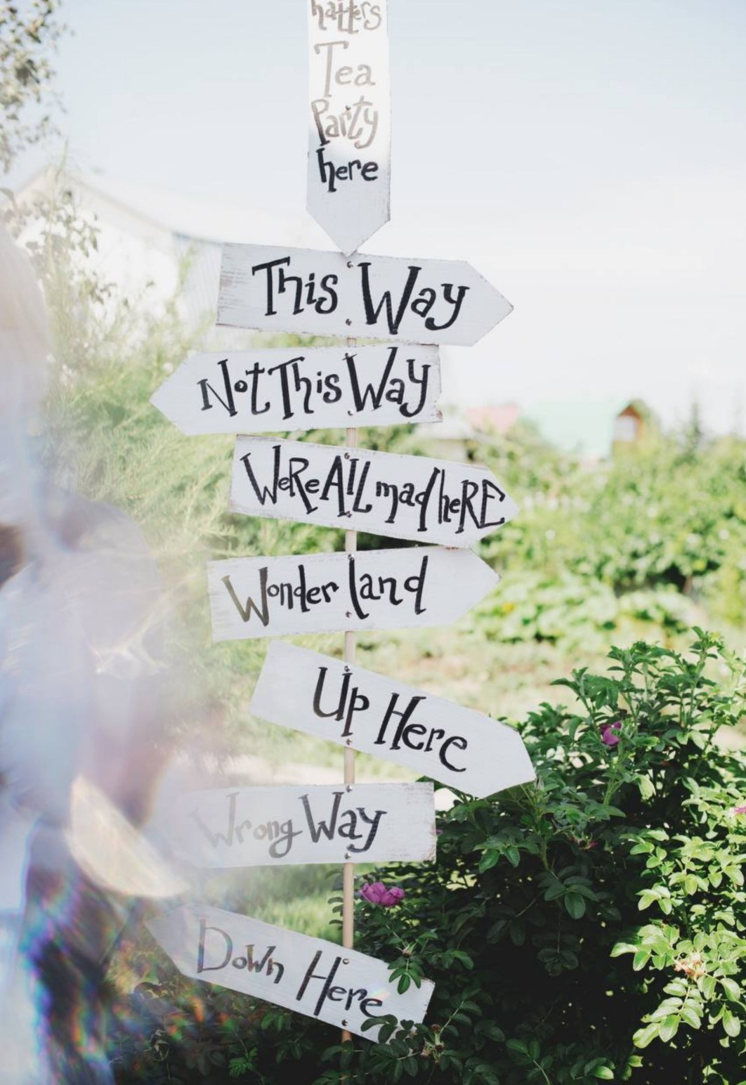 Портфолио. ФОТОПРОЕКТЫ