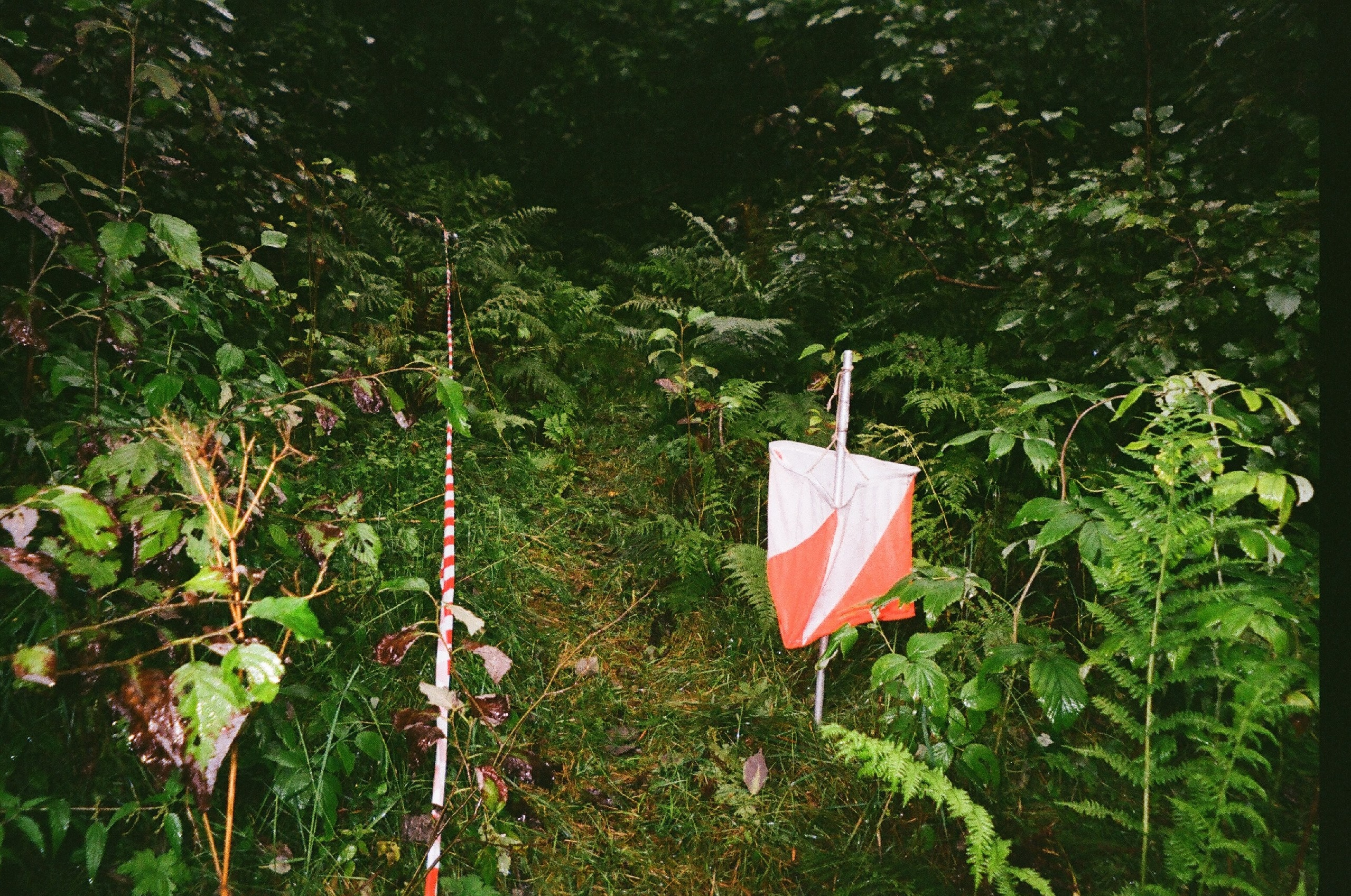 Съемка на пленку