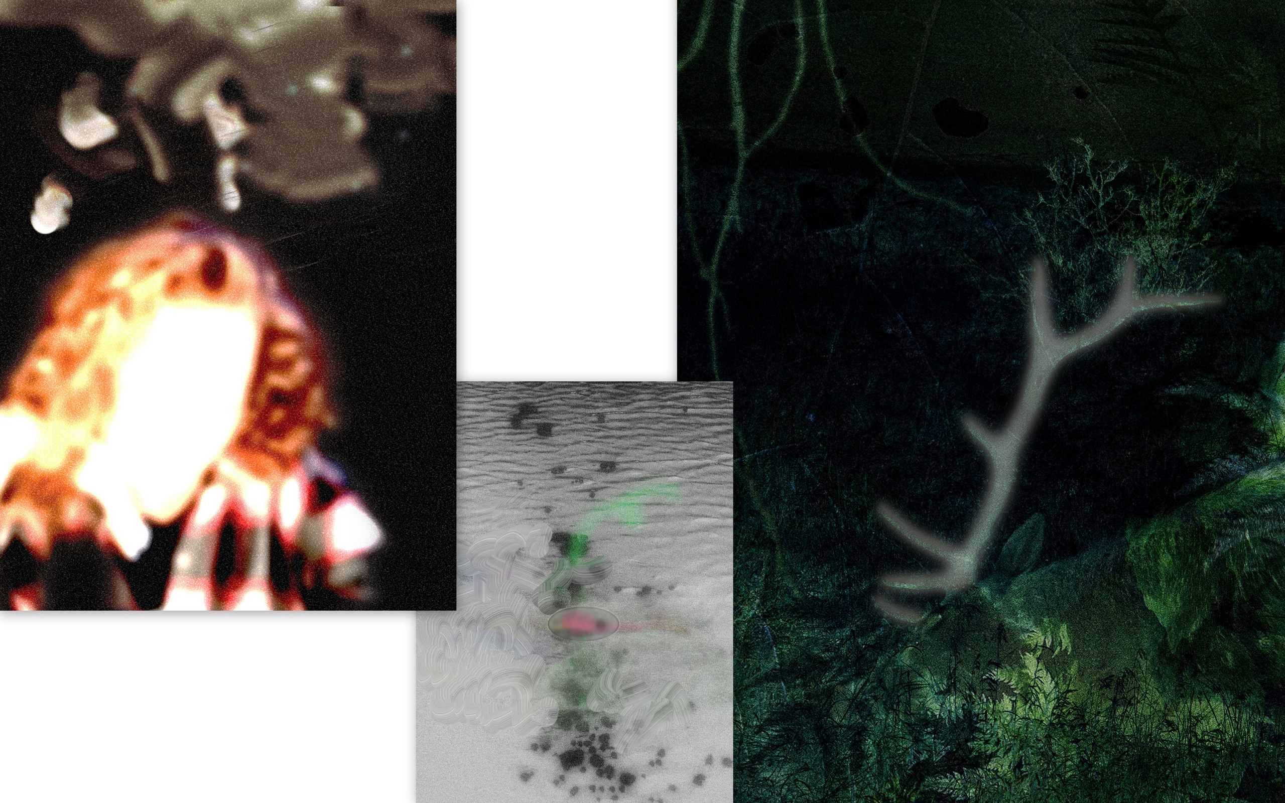 Выставка ''There are no miracles to come'' с 11 января по 11 февраля 2