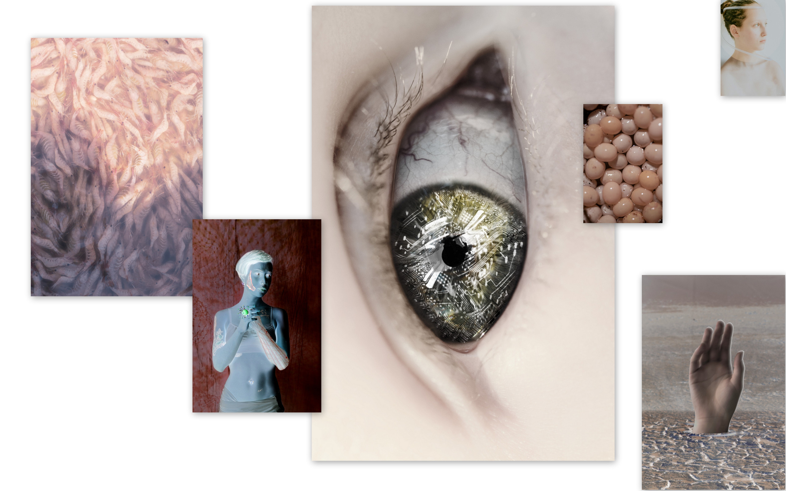 Выставка ''There are no miracles to come'' с 11 января по 11 февраля 2