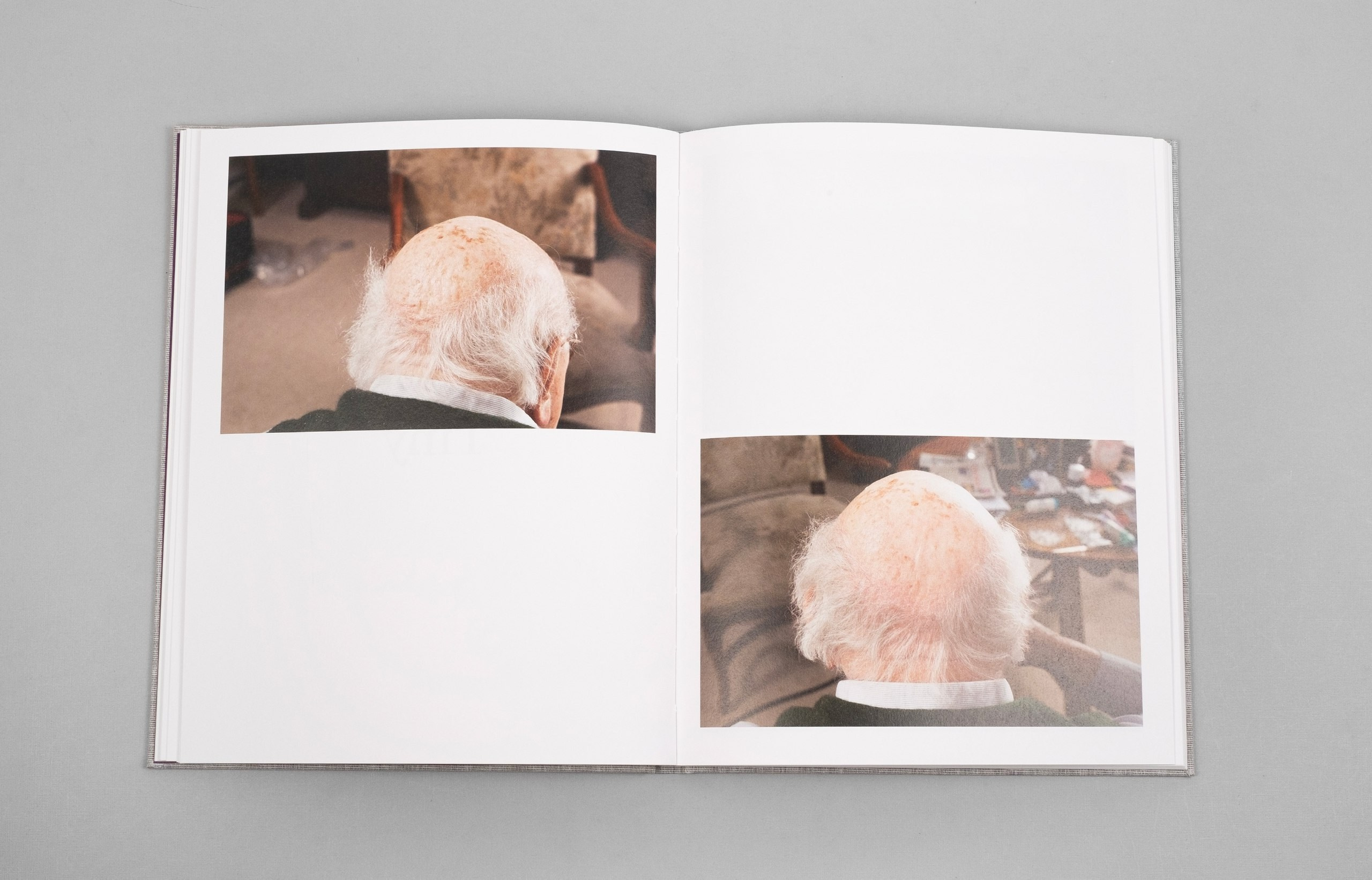 ОБЗОР АКТУАЛЬНЫХ ФОТОКНИГ: Тоос и Тайни. Самоорганизация Низина