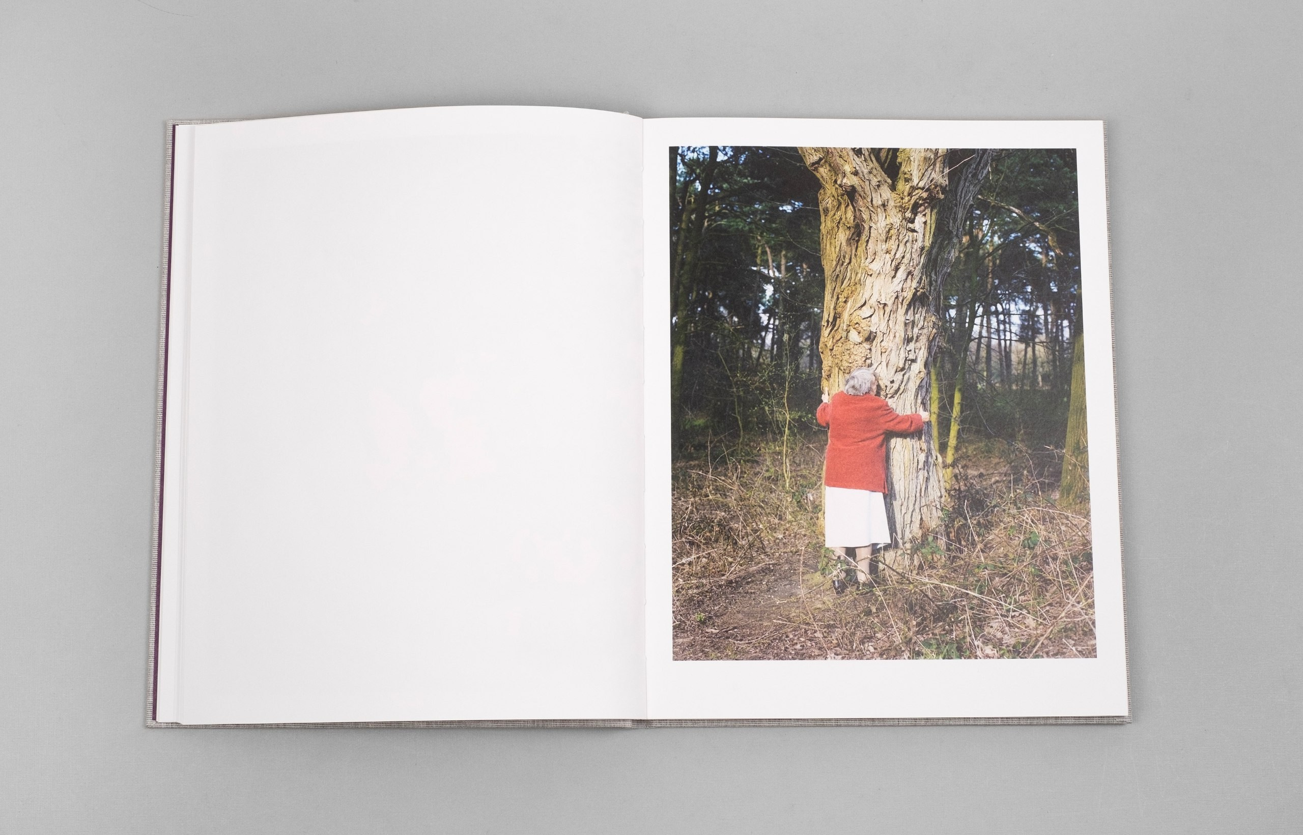 ОБЗОР АКТУАЛЬНЫХ ФОТОКНИГ: Тоос и Тайни. Самоорганизация Низина