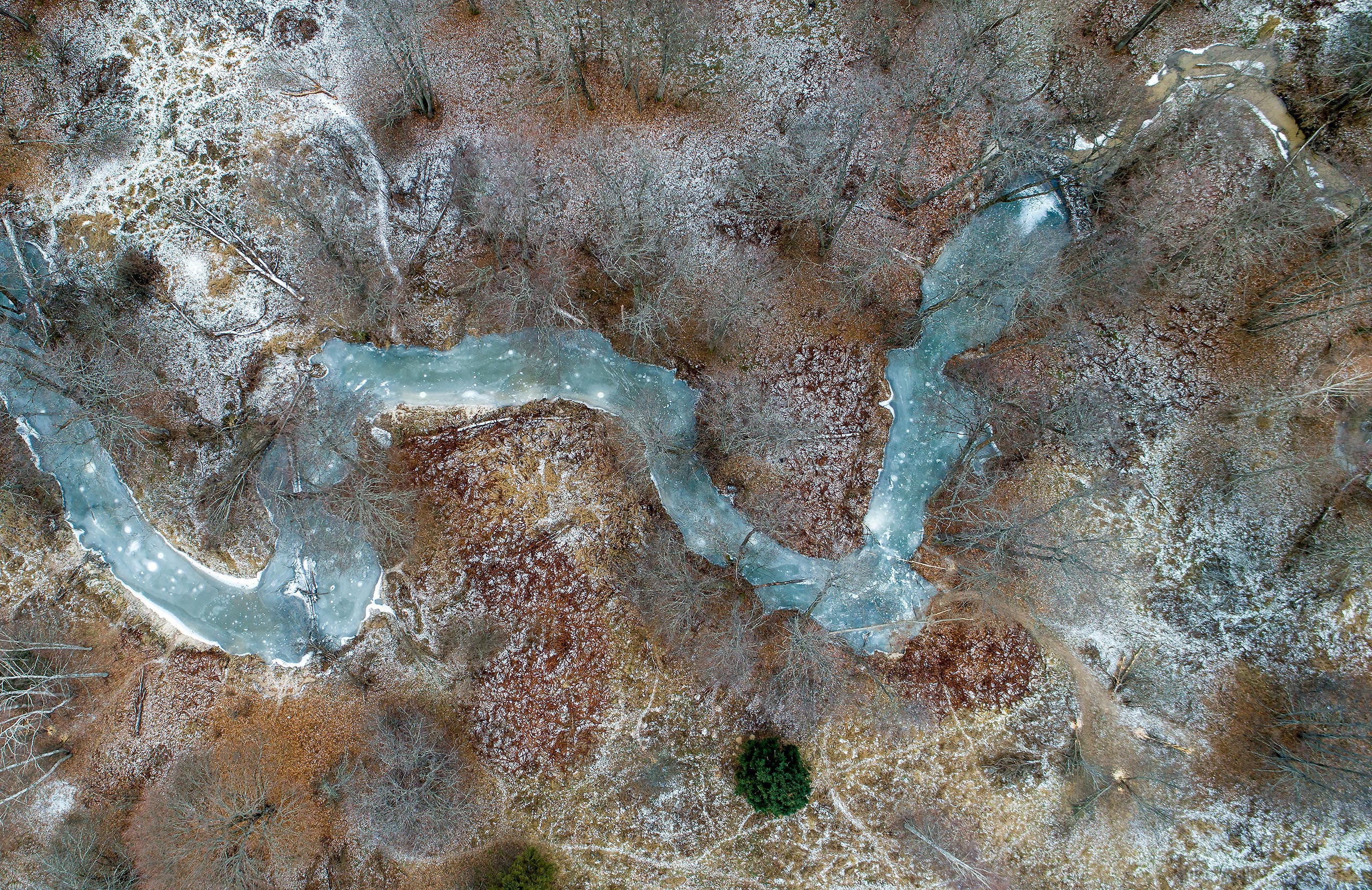 фототуры, фототур, экспедиция, животные, приключение, путешествие, поездка, туры выходного дня, туры по России, фототуры по России, дикая природа, зубры, Калужские засеки