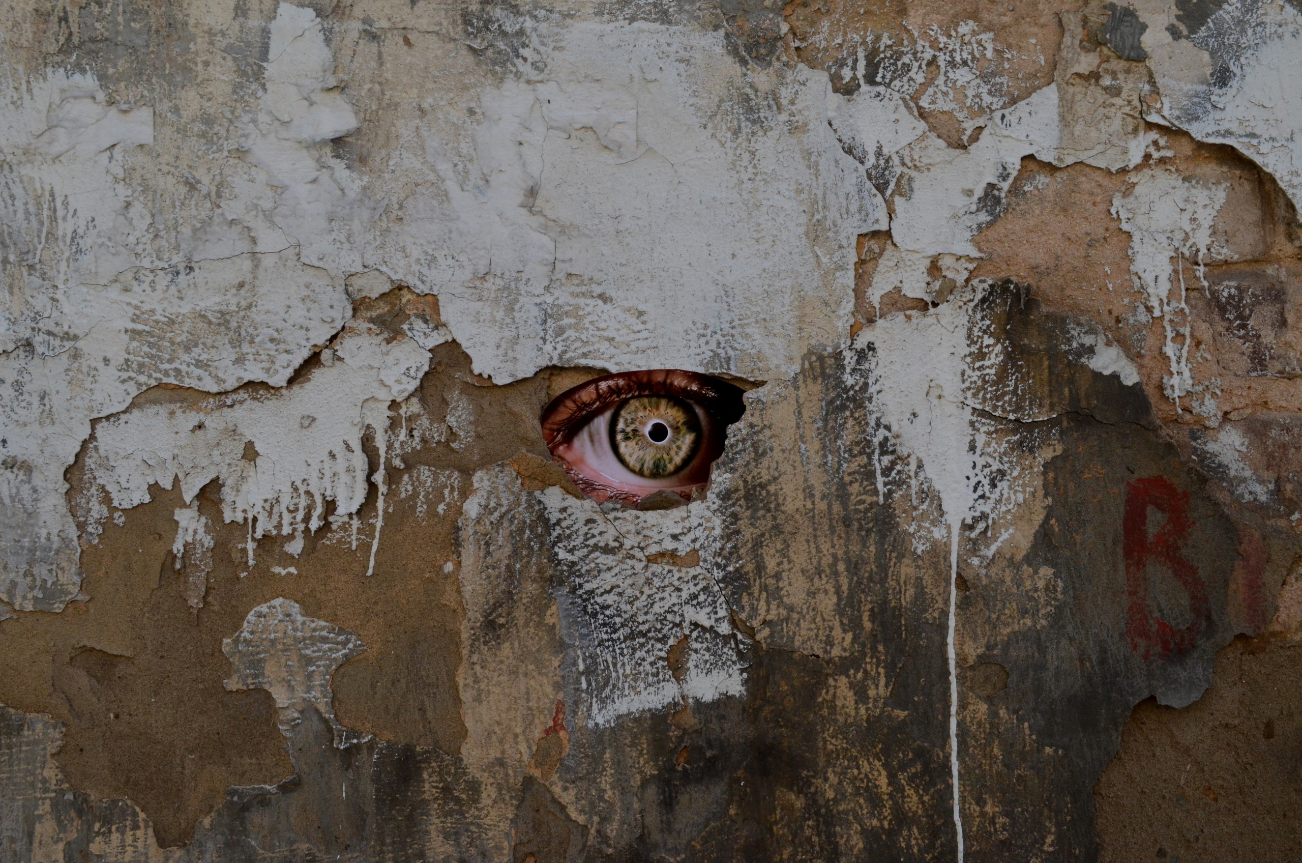 Контакты. Художник Екатерина Оленина