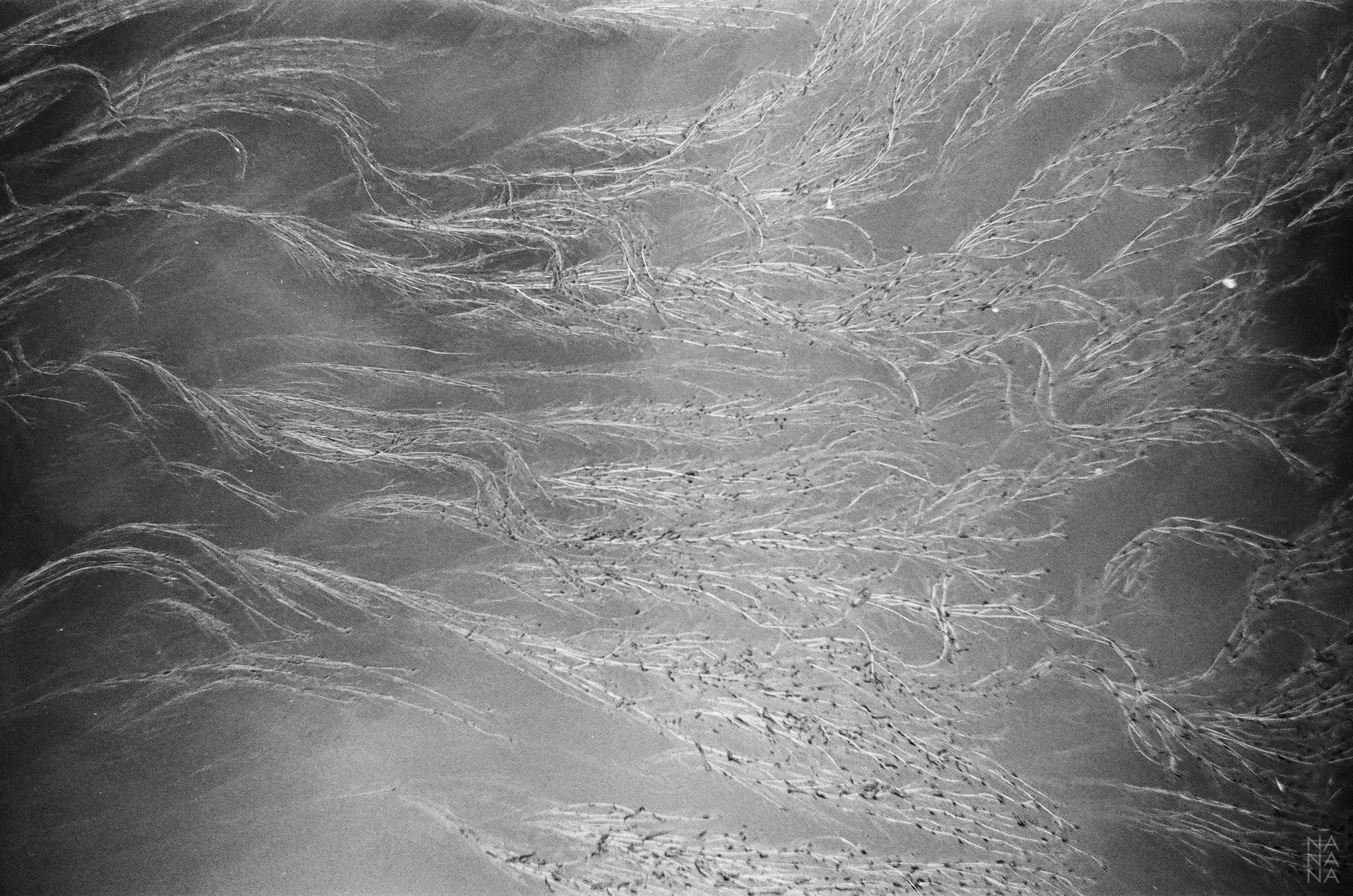 Магазин. Фотограф Елена Богачева (lenalena_na_na_na)