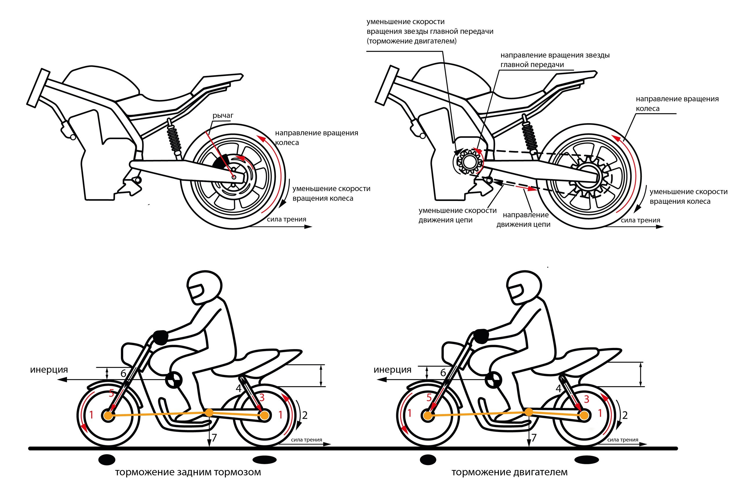 Задний тормоз в мотоспорте. Практический интенсив по безопасному управлению мотоциклом от В. Оллилайнен