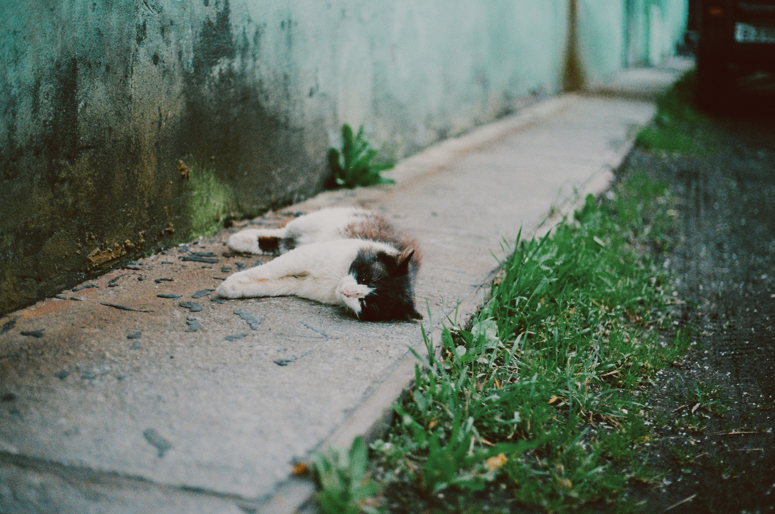 Камчатка, 2019