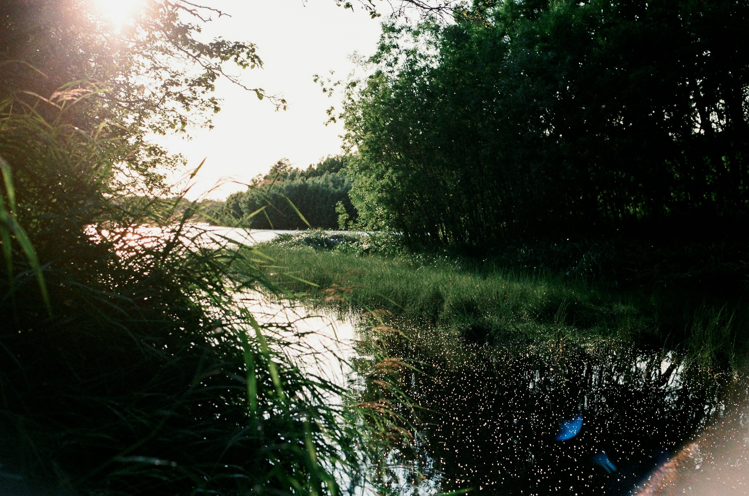 Камчатка, 2019