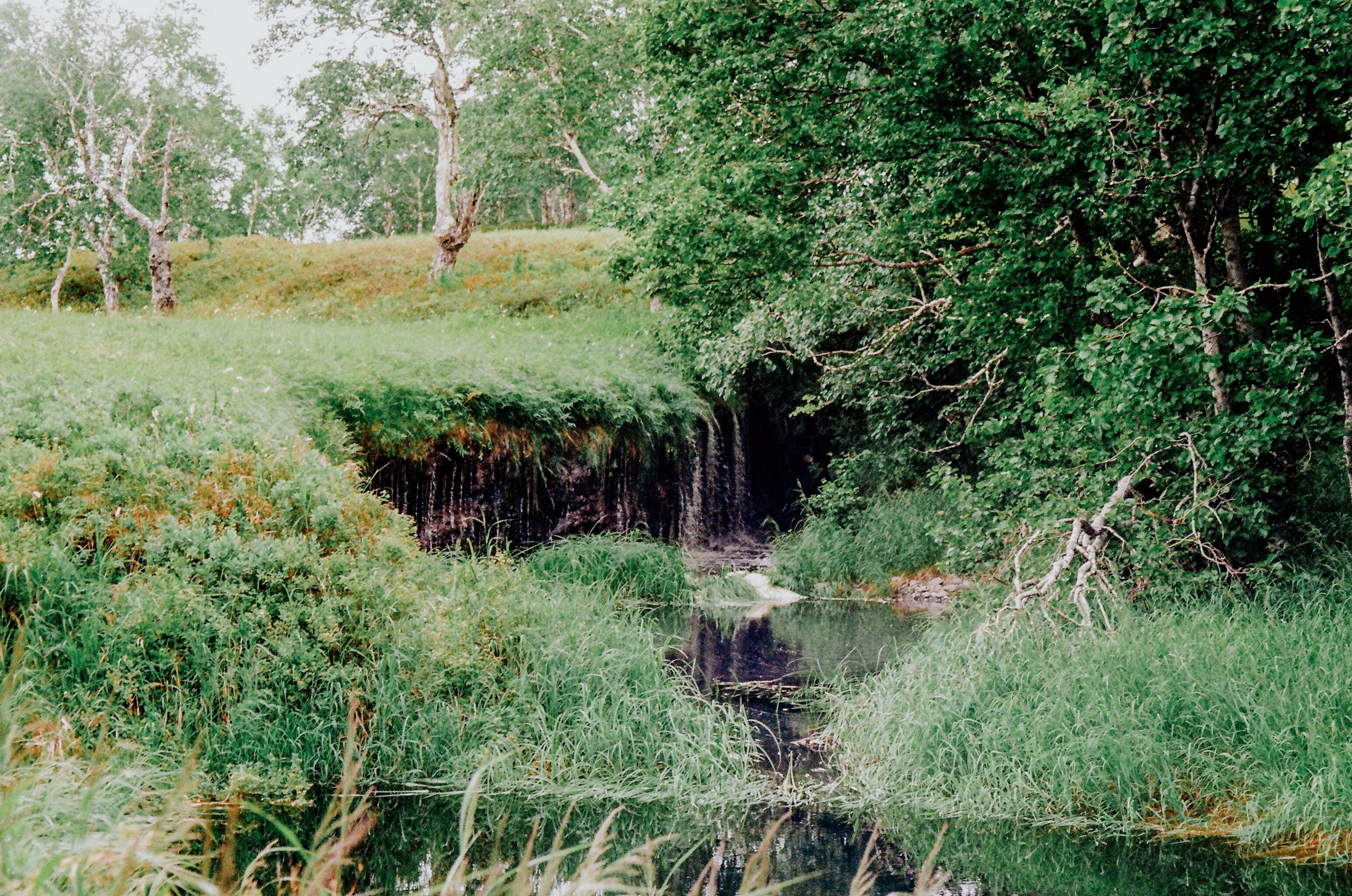 Камчатка, 2019