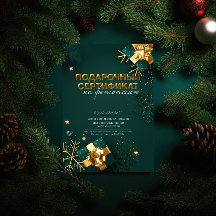 Рекомендации по подготовке к новогодней контент фотосессии. Женский и контент фотограф Люба Пунанцева. Северодвинск. Архангельск