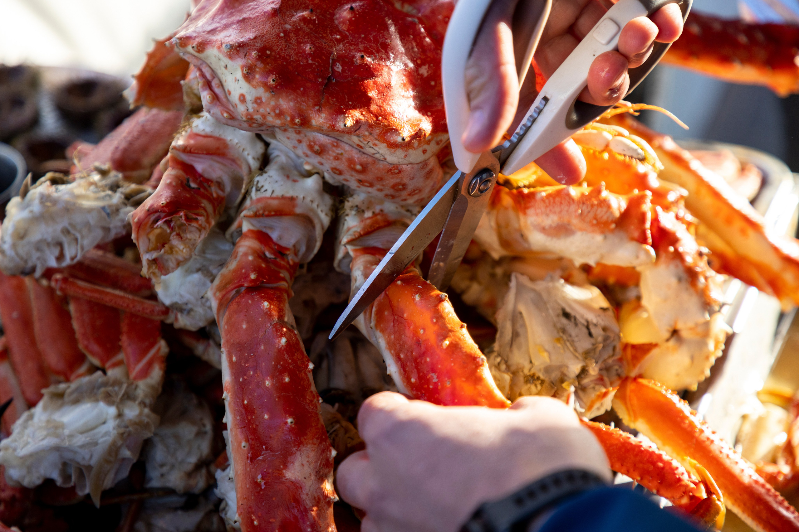 Максимум Камчатки зимой — путешествие с комфортом. Время Камчатки: чтобы найти свой путь, нужно скорость умножить на время