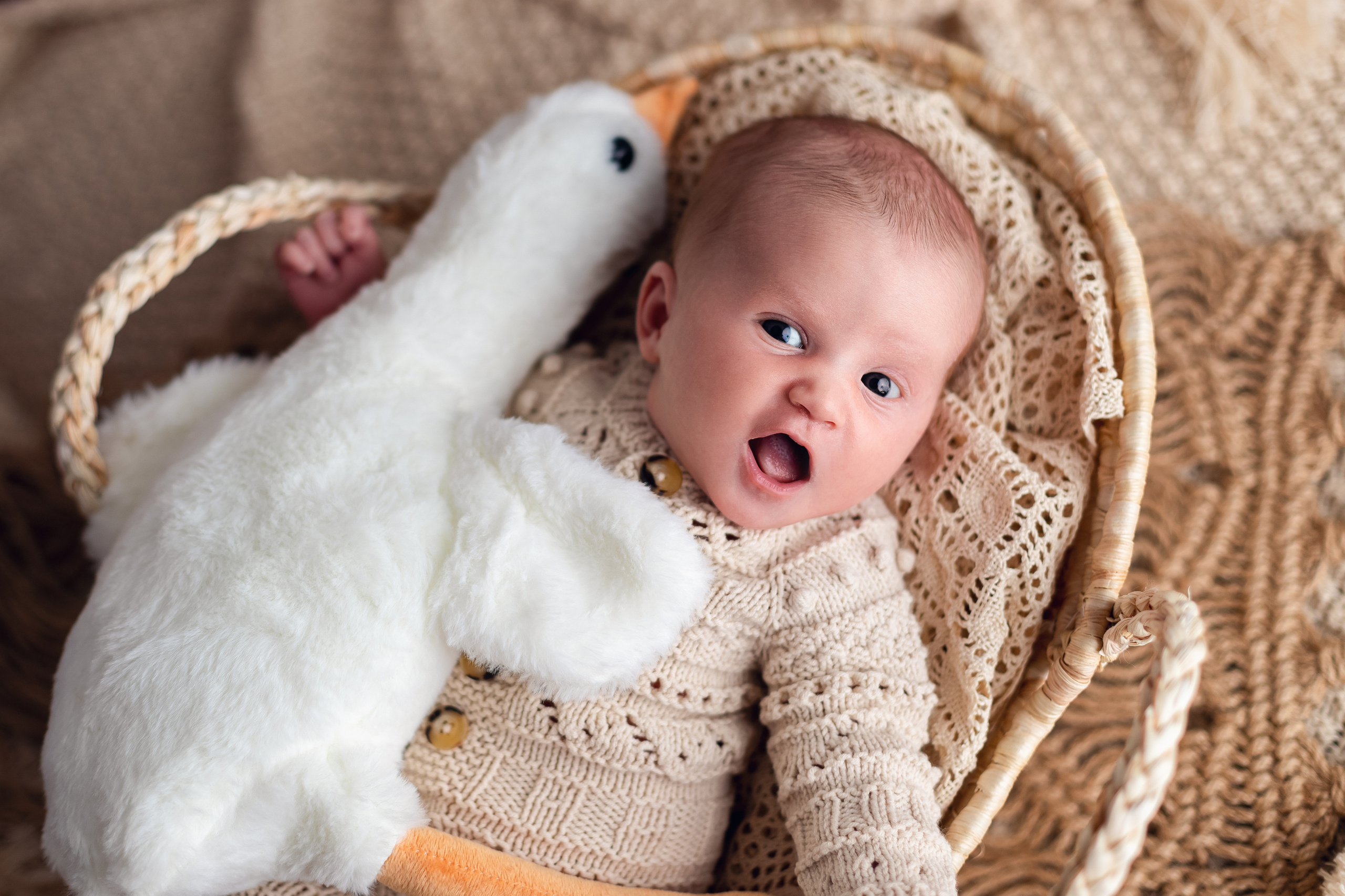 Фотосессия новорожденного в бохо стиле. Фотограф новорожденных в г. Барнаул Ренпенинг Катерина