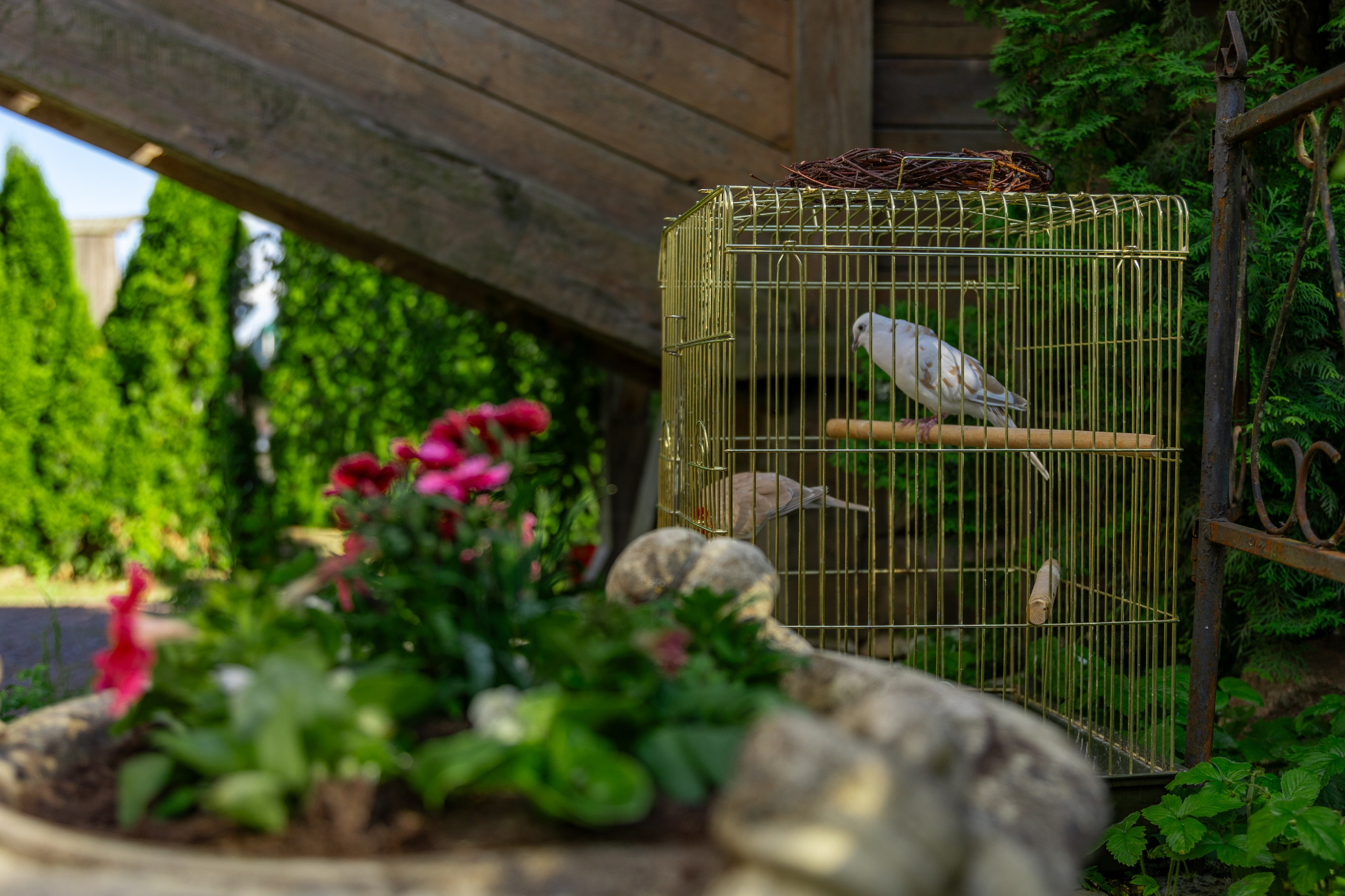 Боровск, Церковь Покрова Пресвятой Богородицы на Высоком