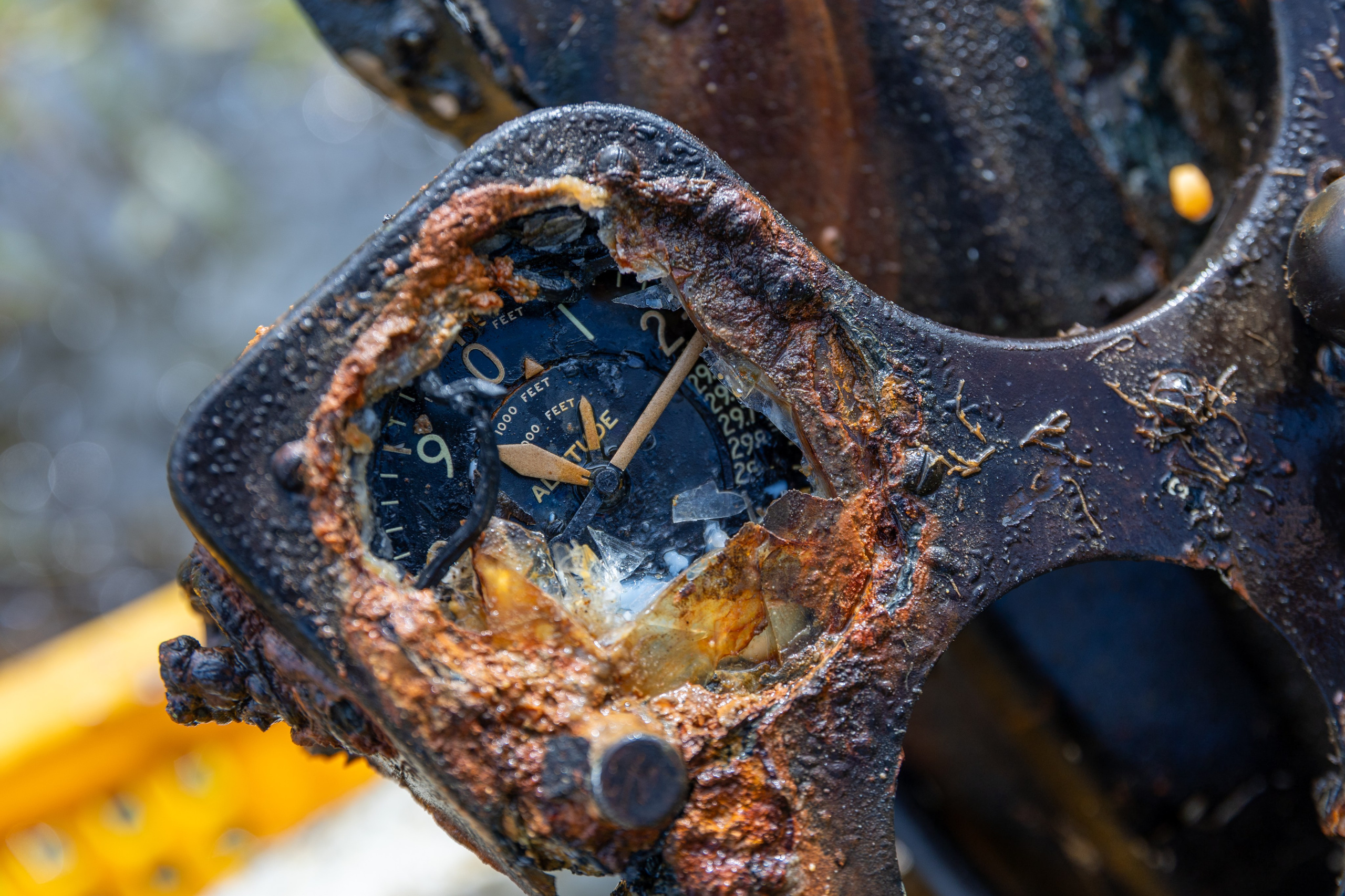 Кингкобра Р-63, экспедиция РГО и Минобороны по исследованию мест падений американских самолетов, озеро Витаминное