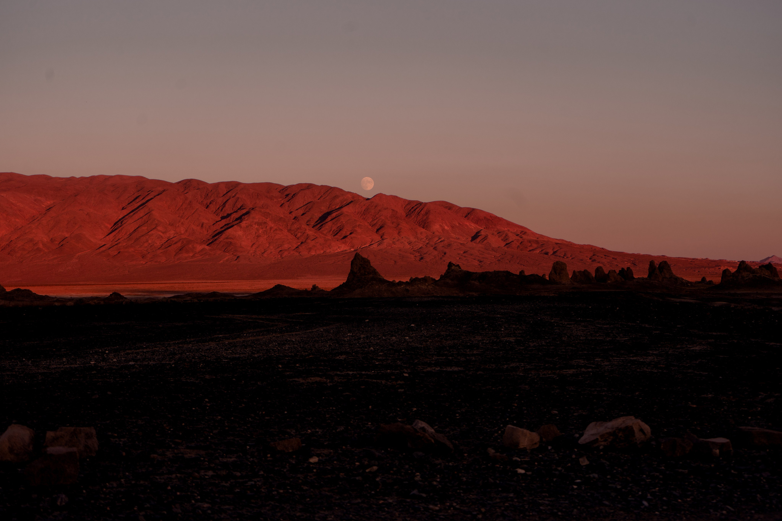 PRINT. Art Photographer Anastasiia Maiskaya