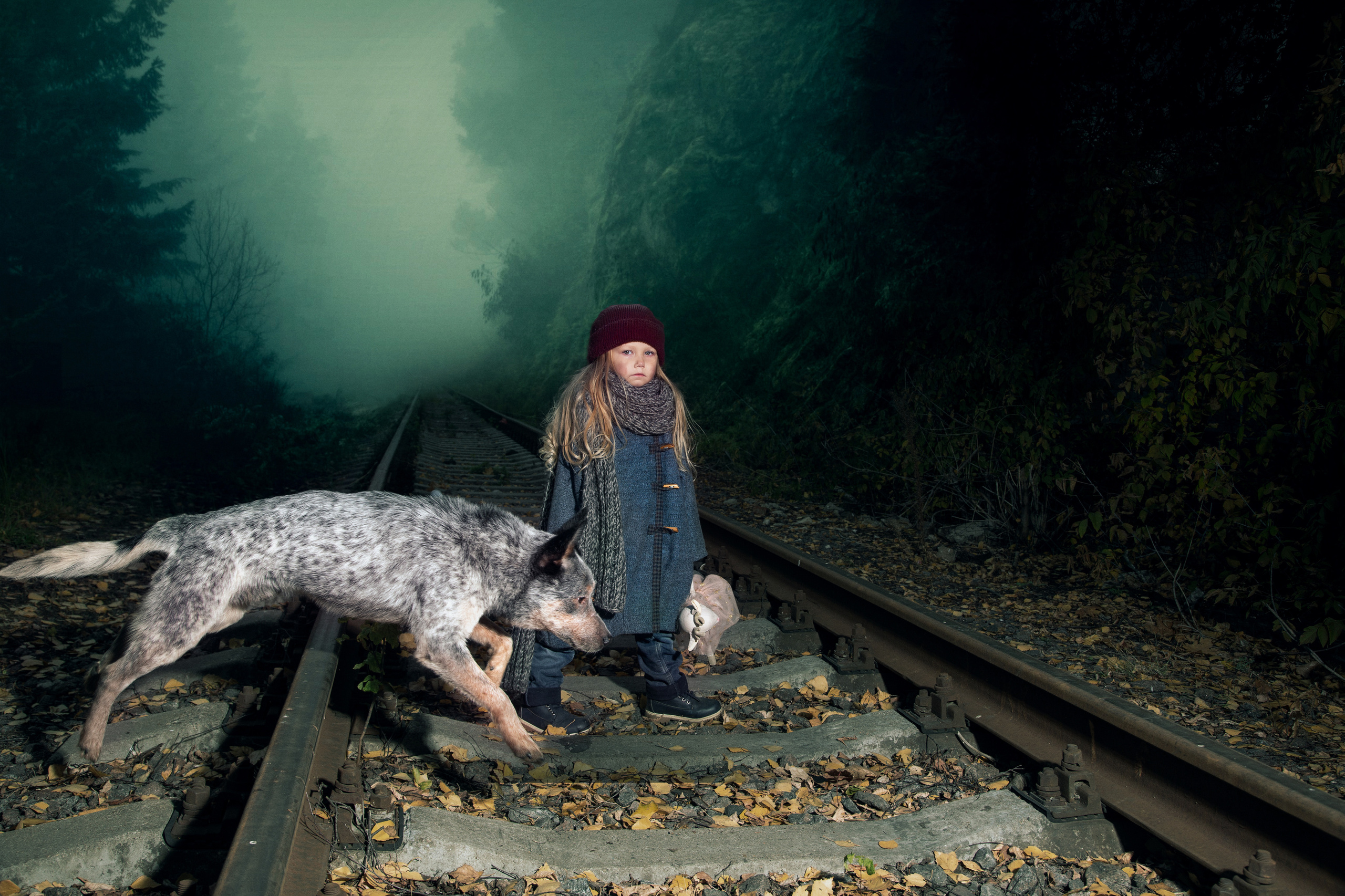 Мы в СМИ. Фотограф Михаил Стенин