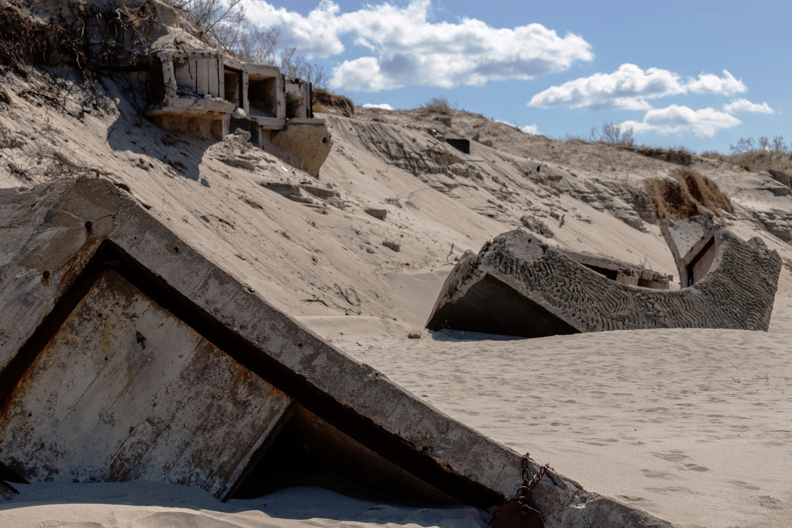 Кураторский проект «Инородное тело»