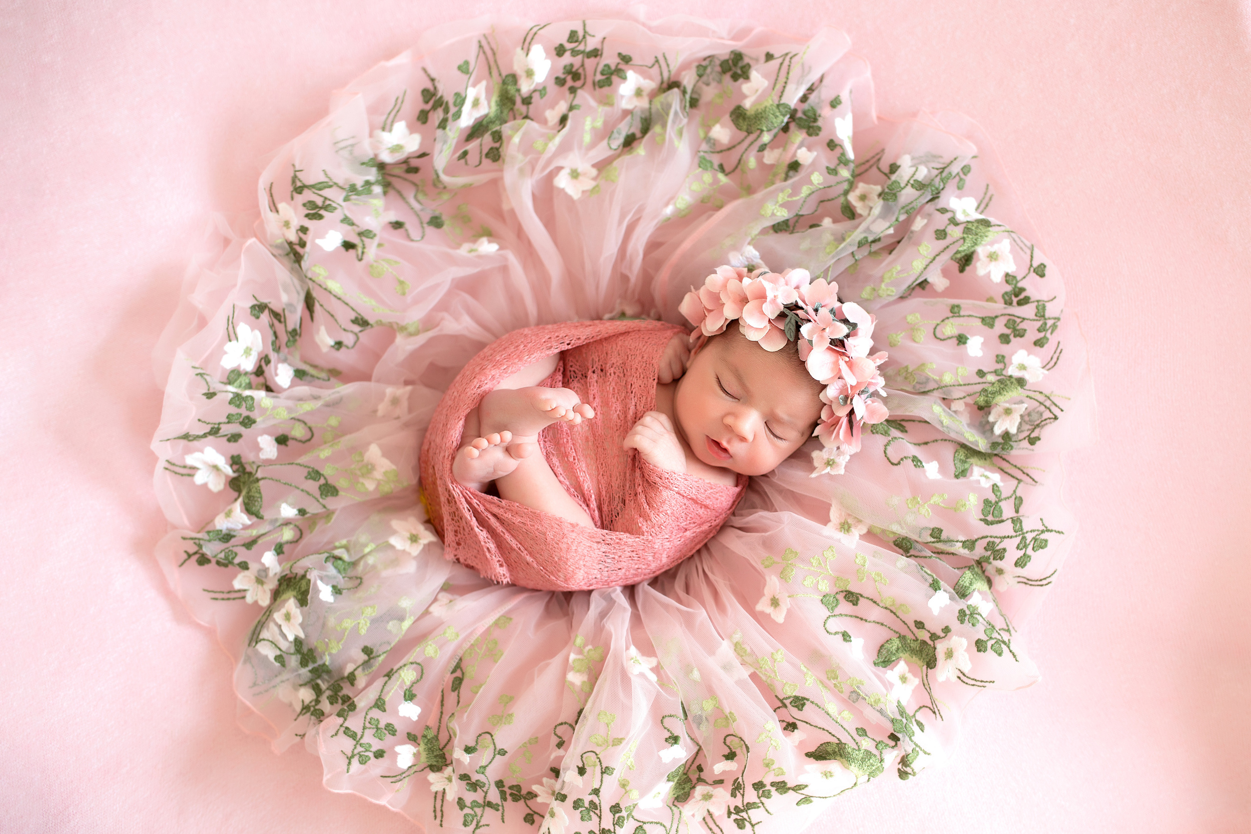 новорожденная девочка на круглом цветочном розовом фоне в обмотке