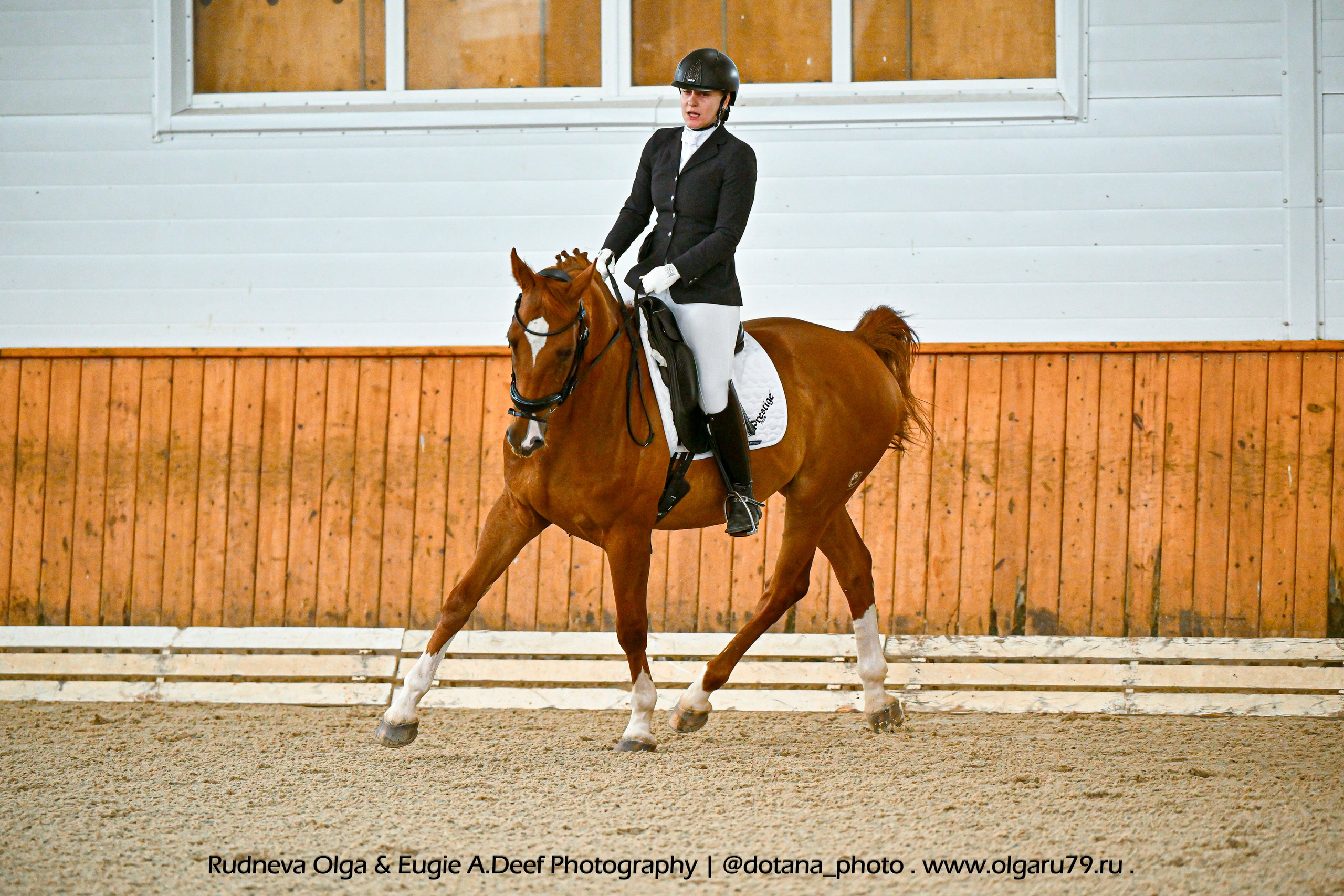 2025.09.21 — КСК КОНКОРД — ЗАКРЫТИЕ ЛЕТНЕГО СЕЗОНА, выездка. ТУРНИРНАЯ КОННАЯ ФОТОГРАФИЯ, Руднева Ольга и Евгений Адеев