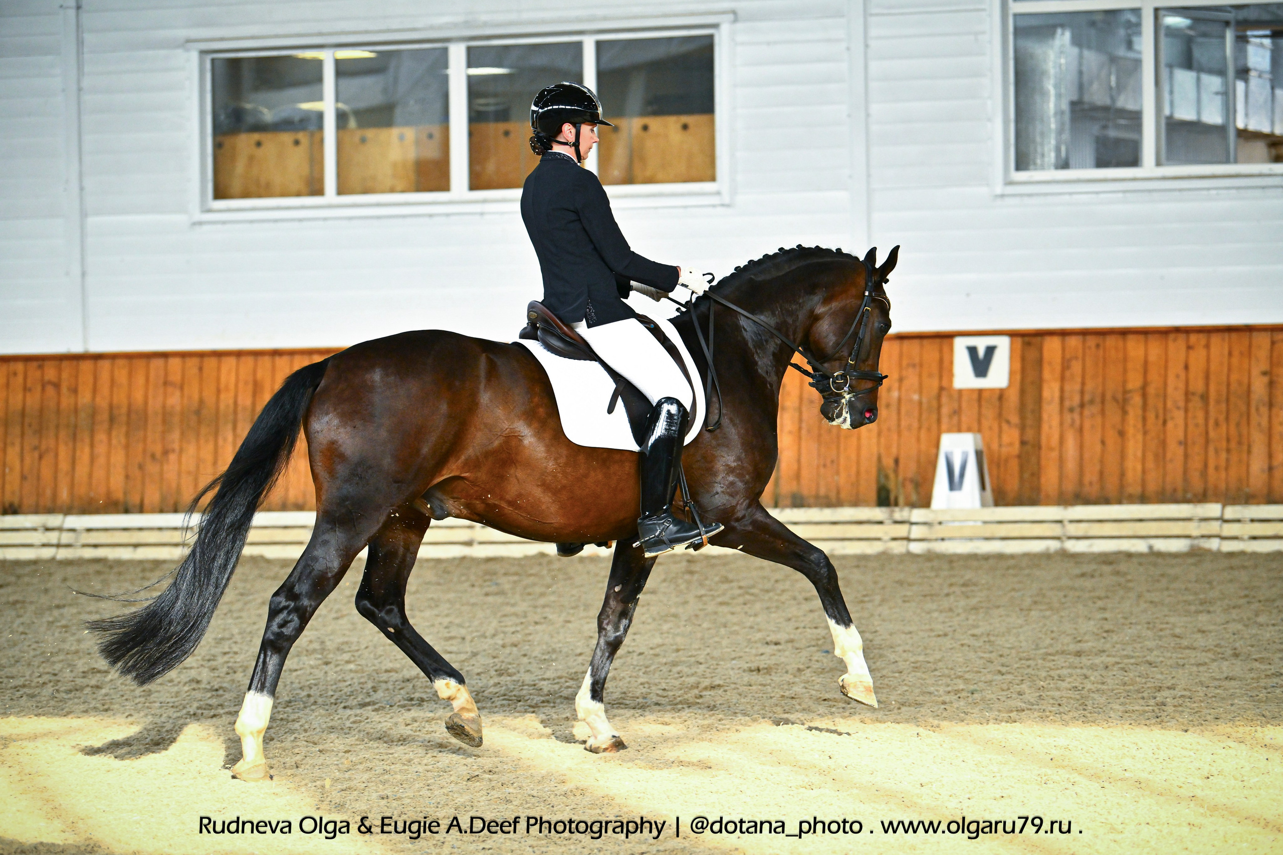 2025.09.21 — КСК КОНКОРД — ЗАКРЫТИЕ ЛЕТНЕГО СЕЗОНА, выездка. ТУРНИРНАЯ КОННАЯ ФОТОГРАФИЯ, Руднева Ольга и Евгений Адеев