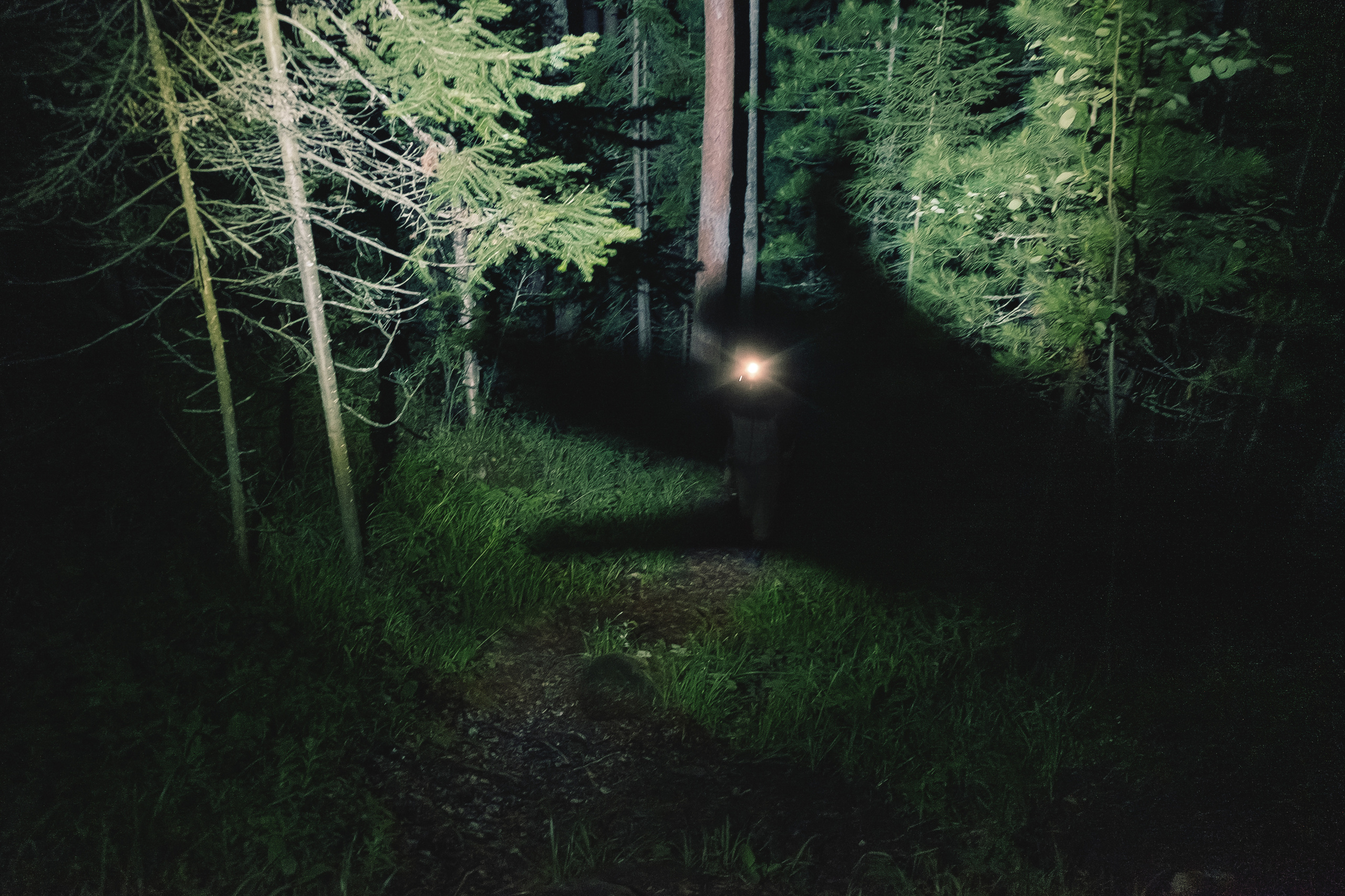 Волчок. Элина Гусарова