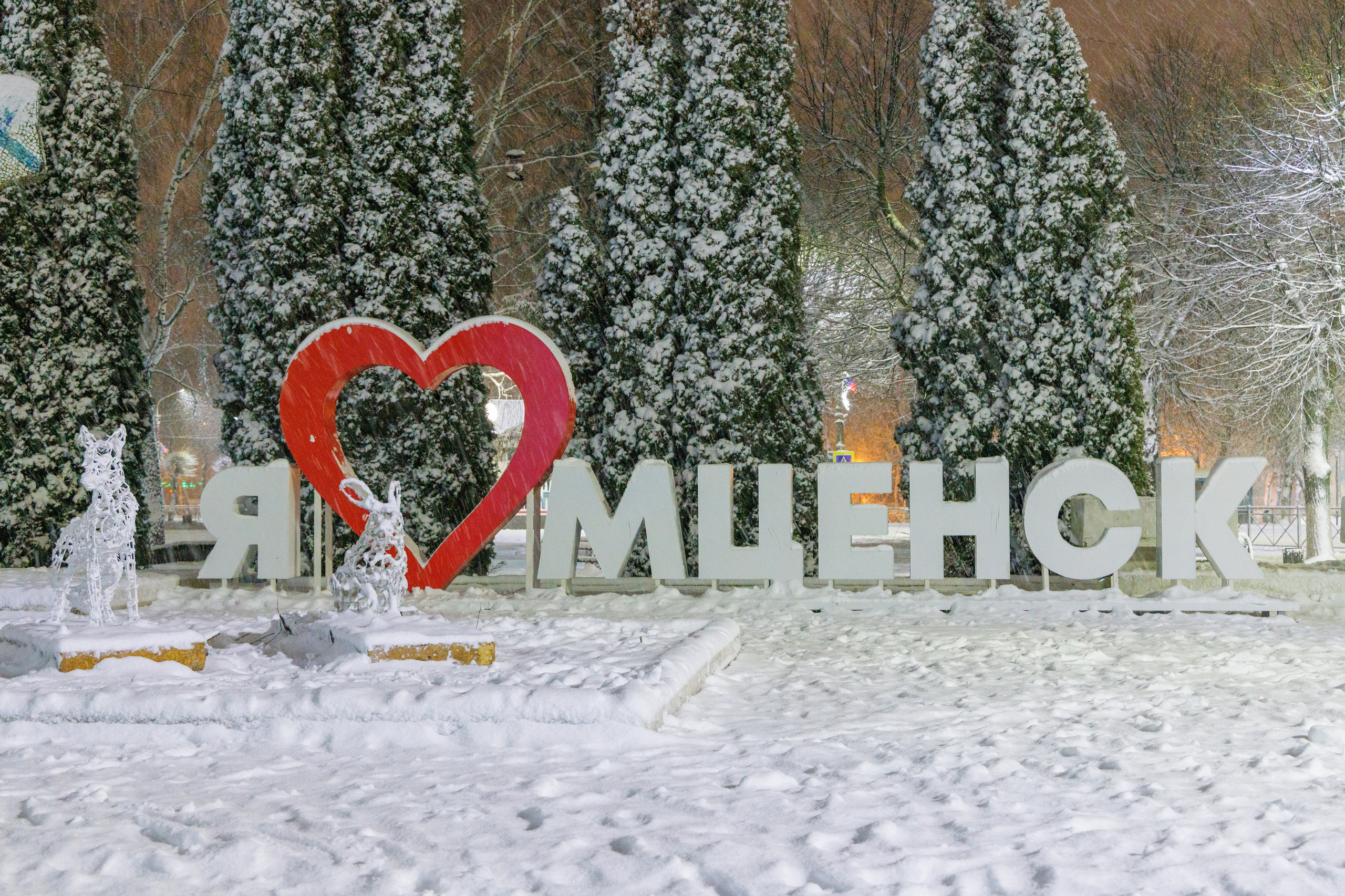 Услуги. Фотограф Сергей Старых. Мценск