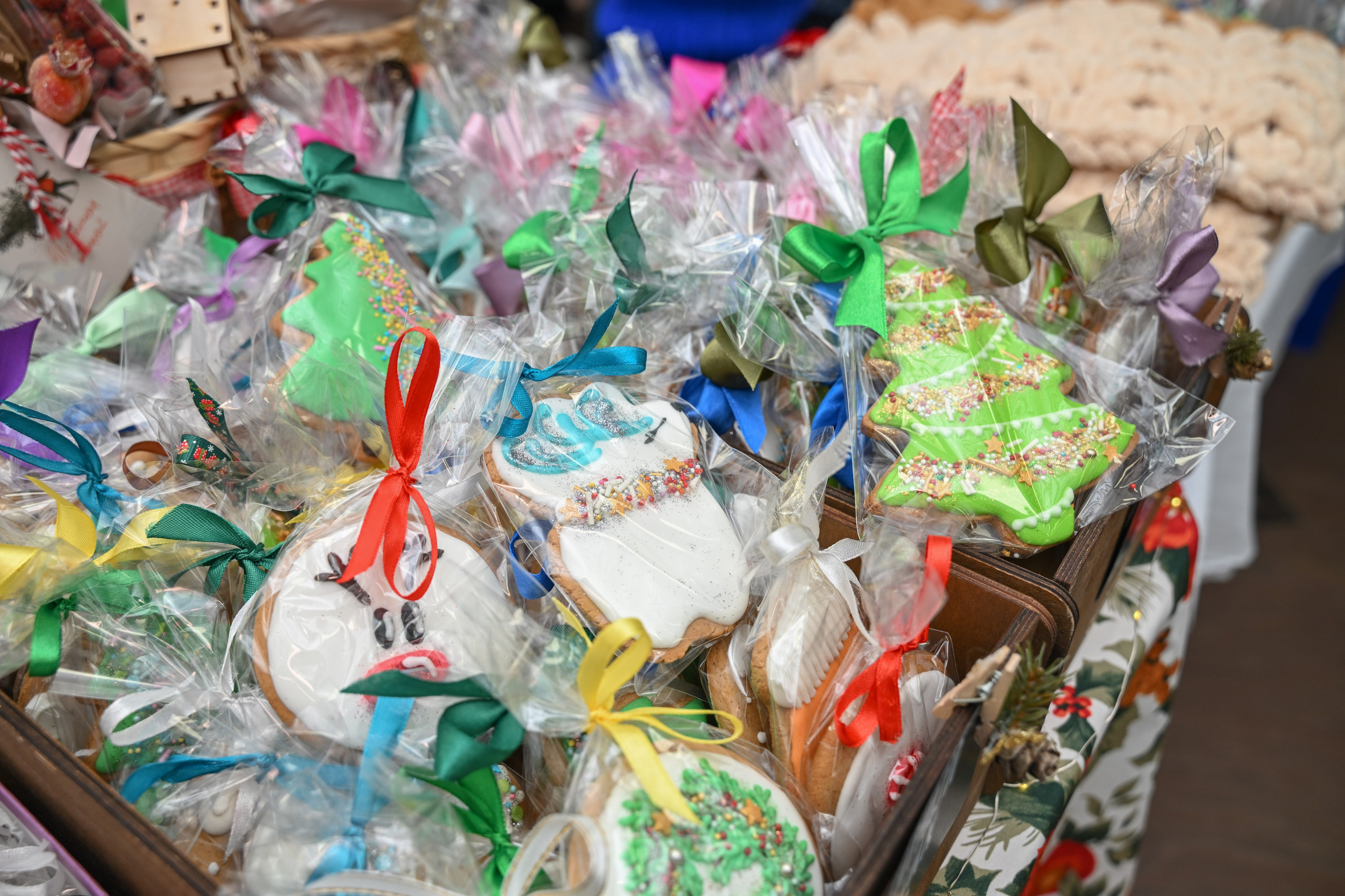 Предновогодний фестиваль «Территория творчества». Татьяна Гойда портретный и семейный фотограф Ленск. Выпускные альбомы