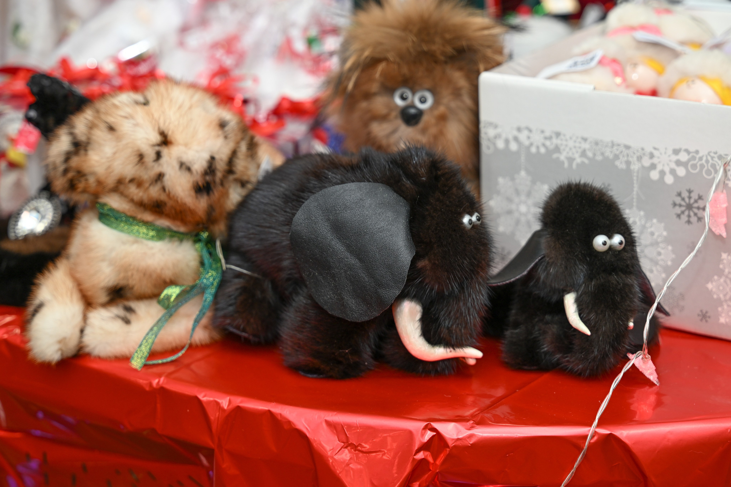 Предновогодний фестиваль «Территория творчества». Татьяна Гойда портретный и семейный фотограф Ленск. Выпускные альбомы