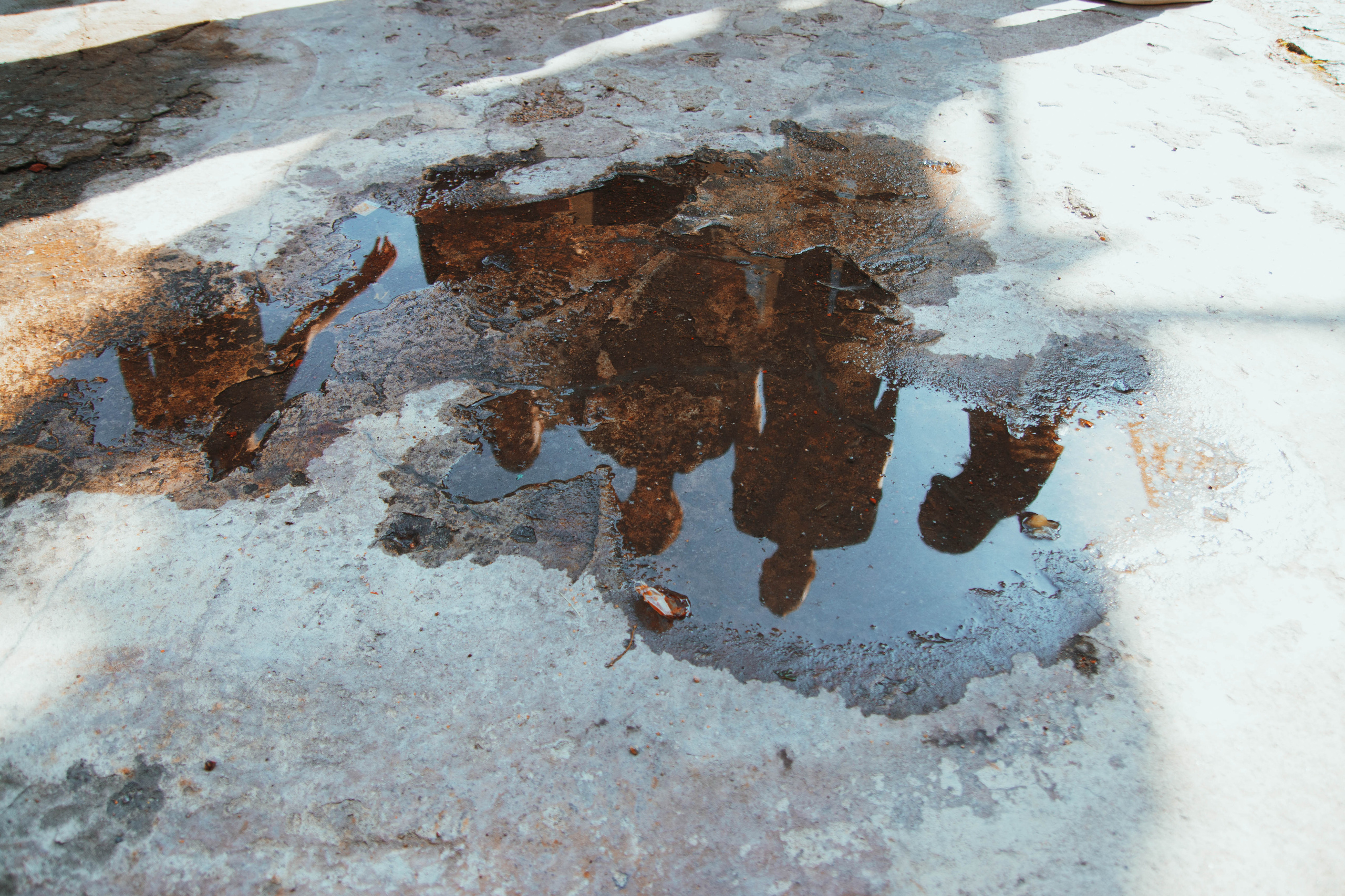 Услуги. Фотограф / Оператор Константин Козлов