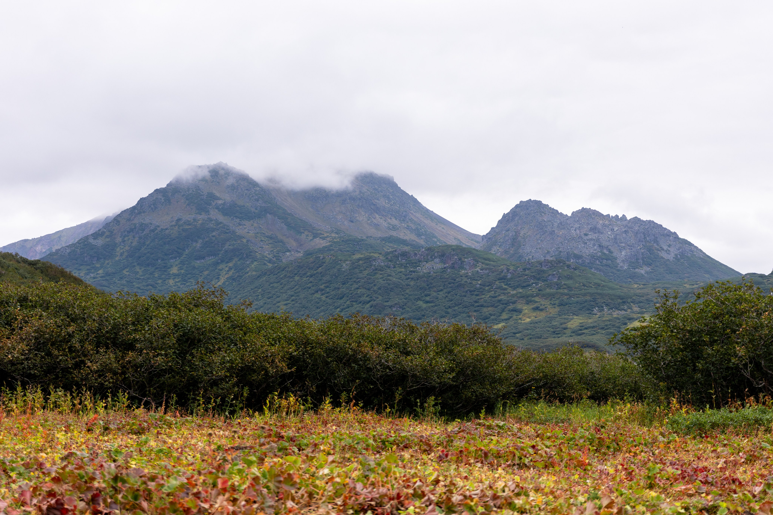 Дикий Гребень и озеро Витаминное, Камчатка