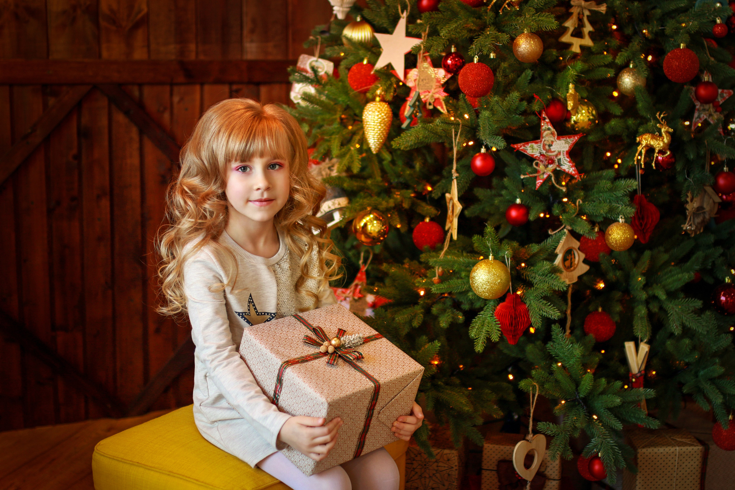 Новогодние фотосессии 2026. Елена Данилова фотограф беременности в Кемерово