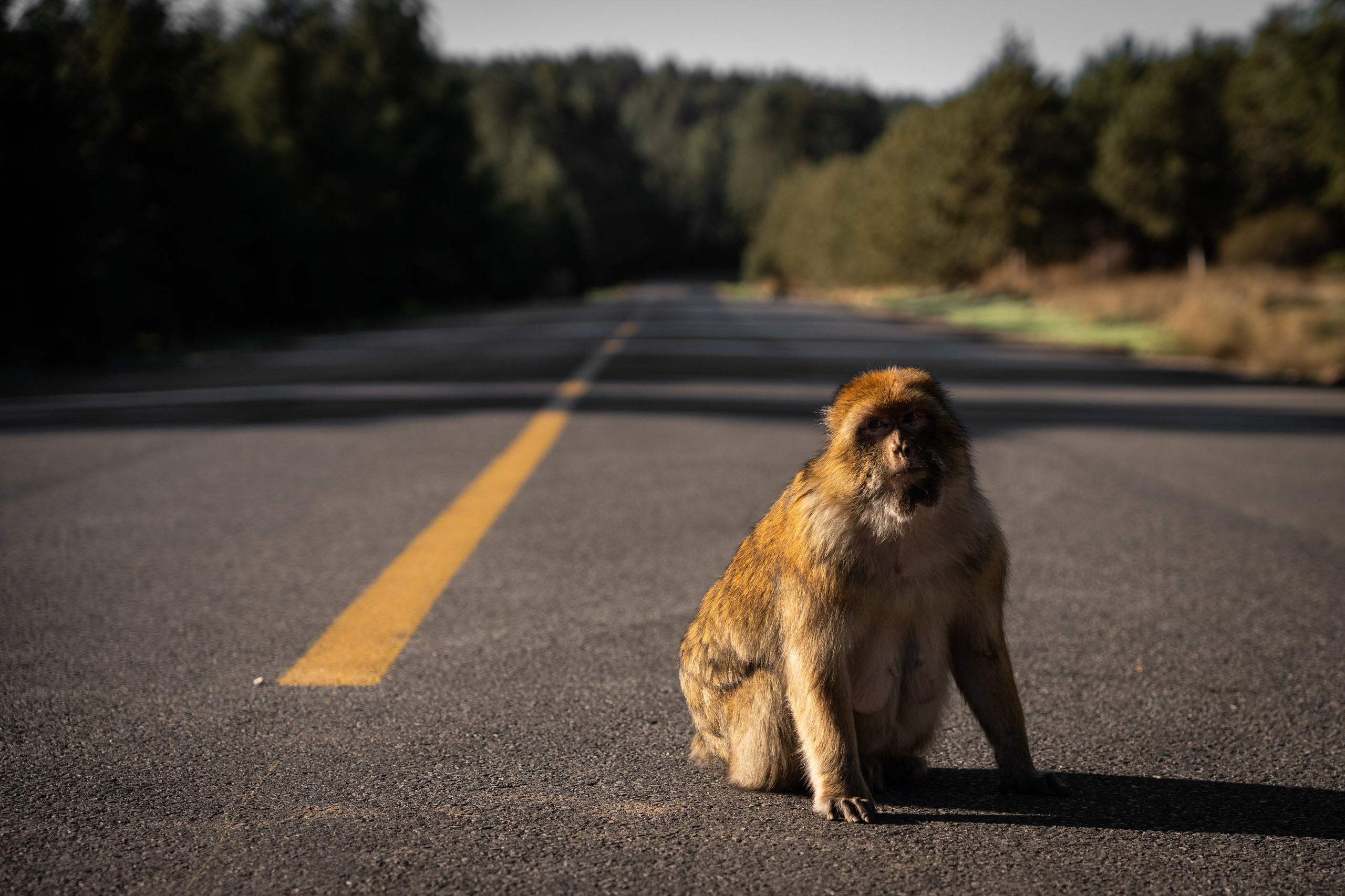 Марокко. Илья Варин — Фотограф Москва, Тверь