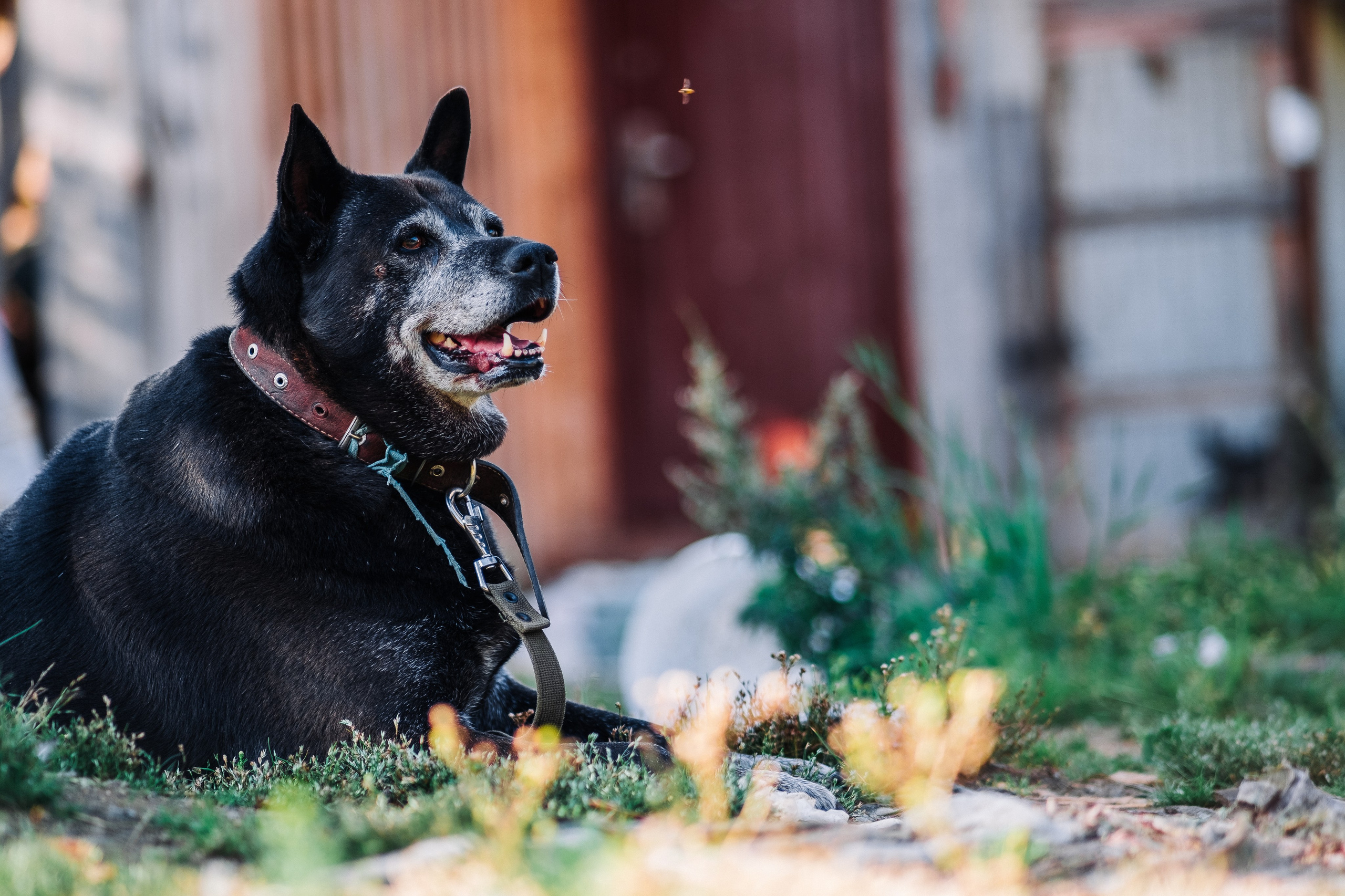 Видеограф Архангельск | Северодвинск | Новодвинск