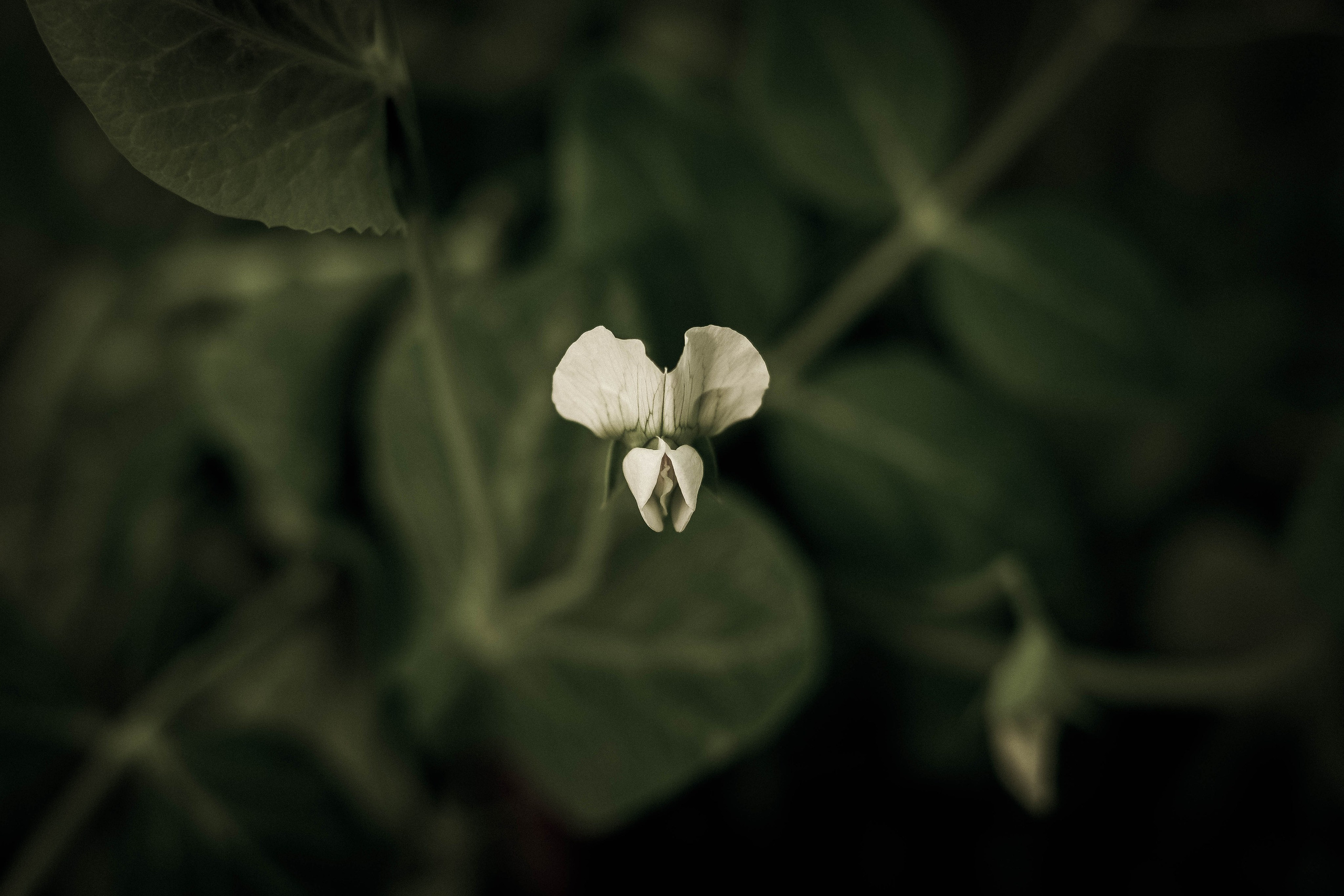 Клуб. АRТ&PSY | Искусство психологии