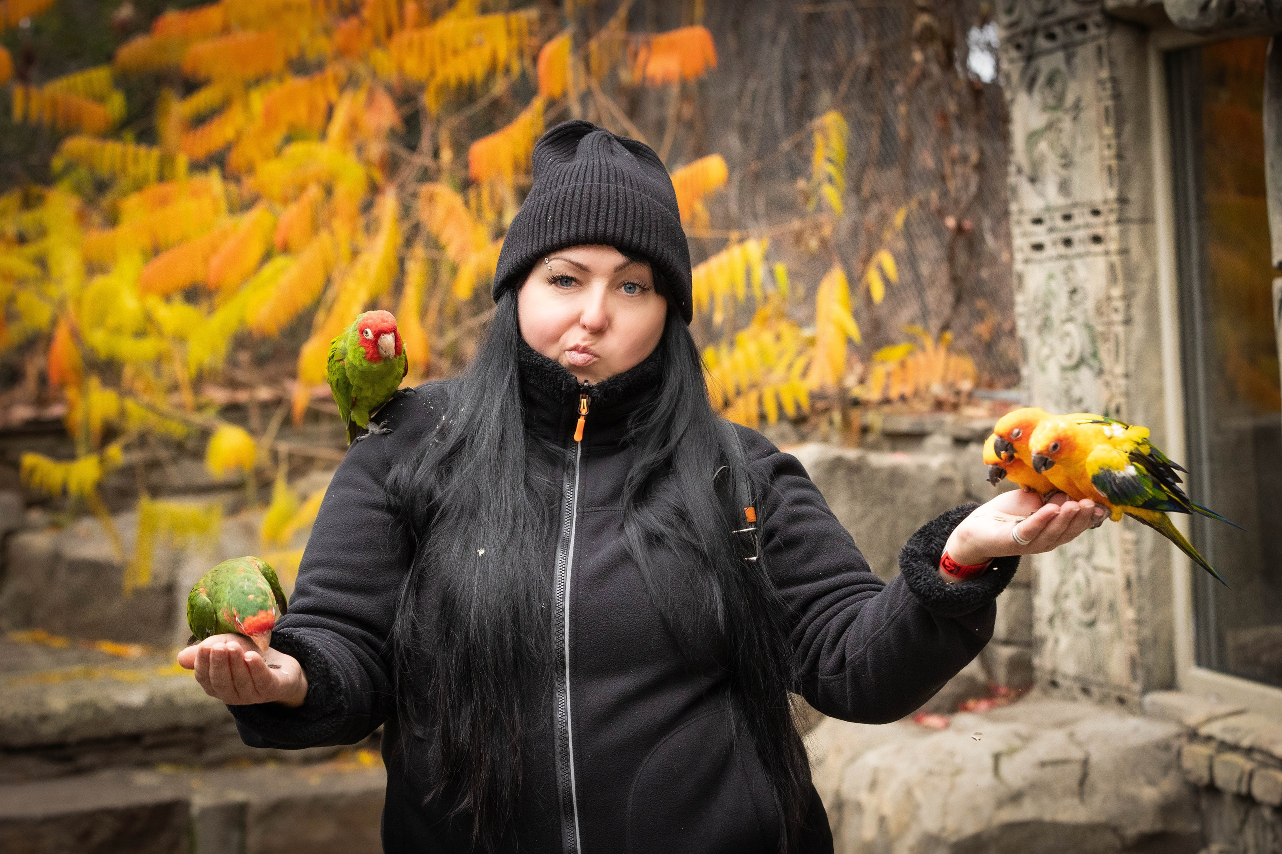 Фотограф-АниМалист Анна Абрамова