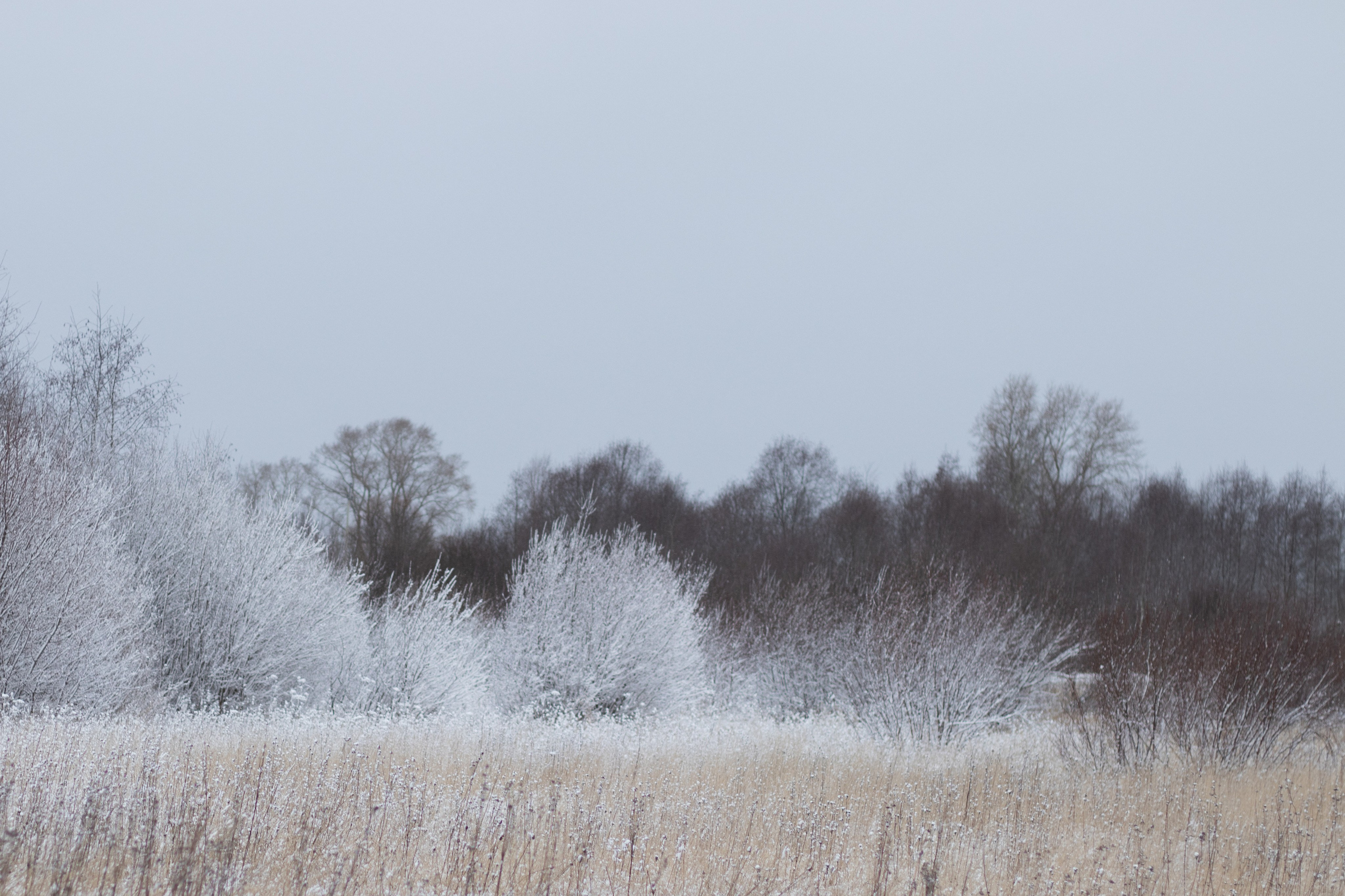 Зимняя фотосессия — сказка в Волочке