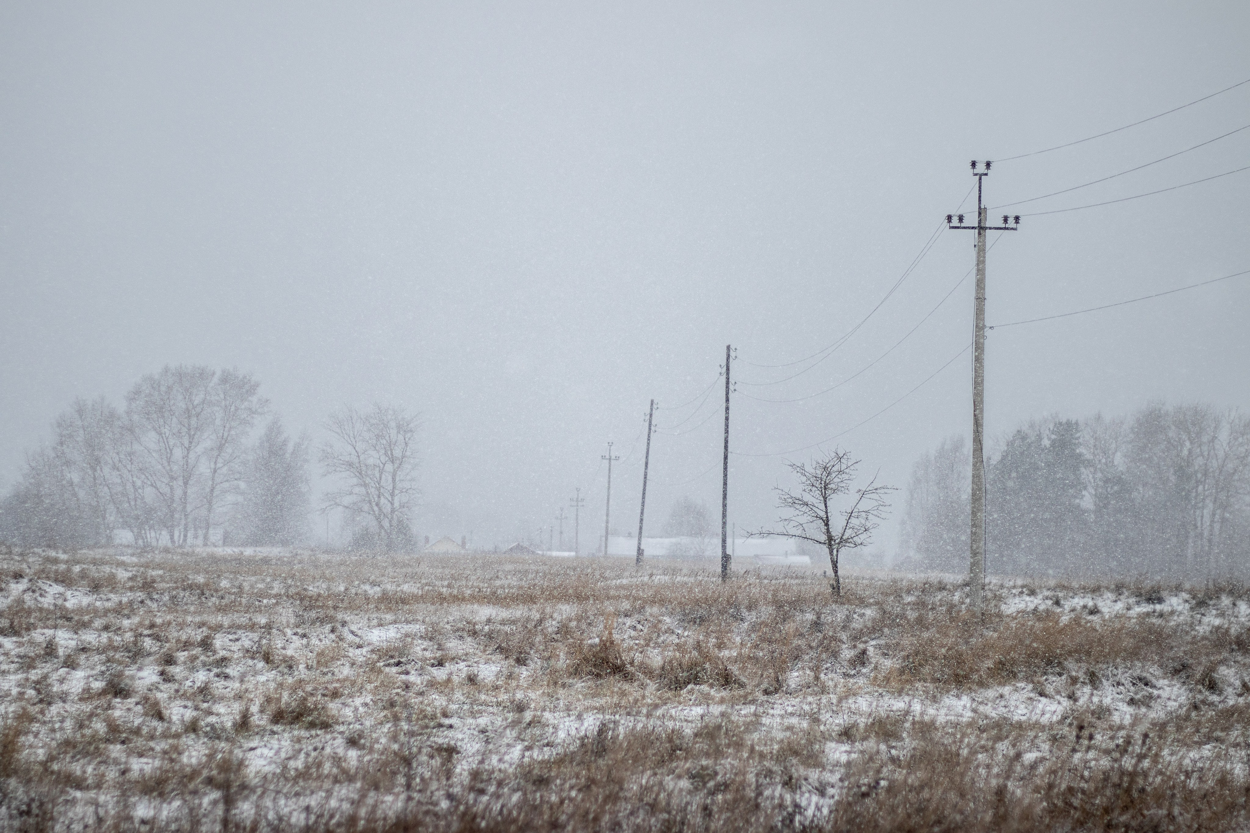 Зимняя фотосессия — сказка в Волочке
