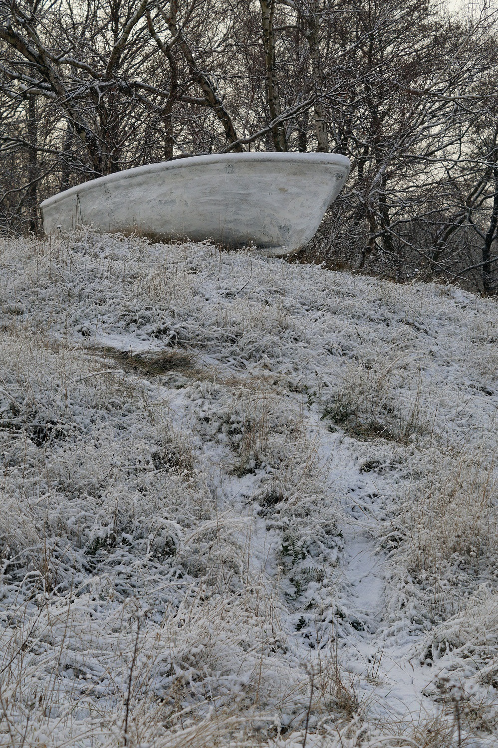 Кураторский проект «Инородное тело»